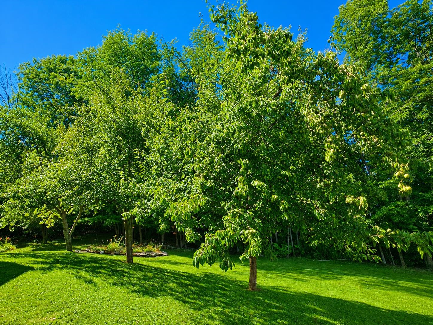 main property photo 40