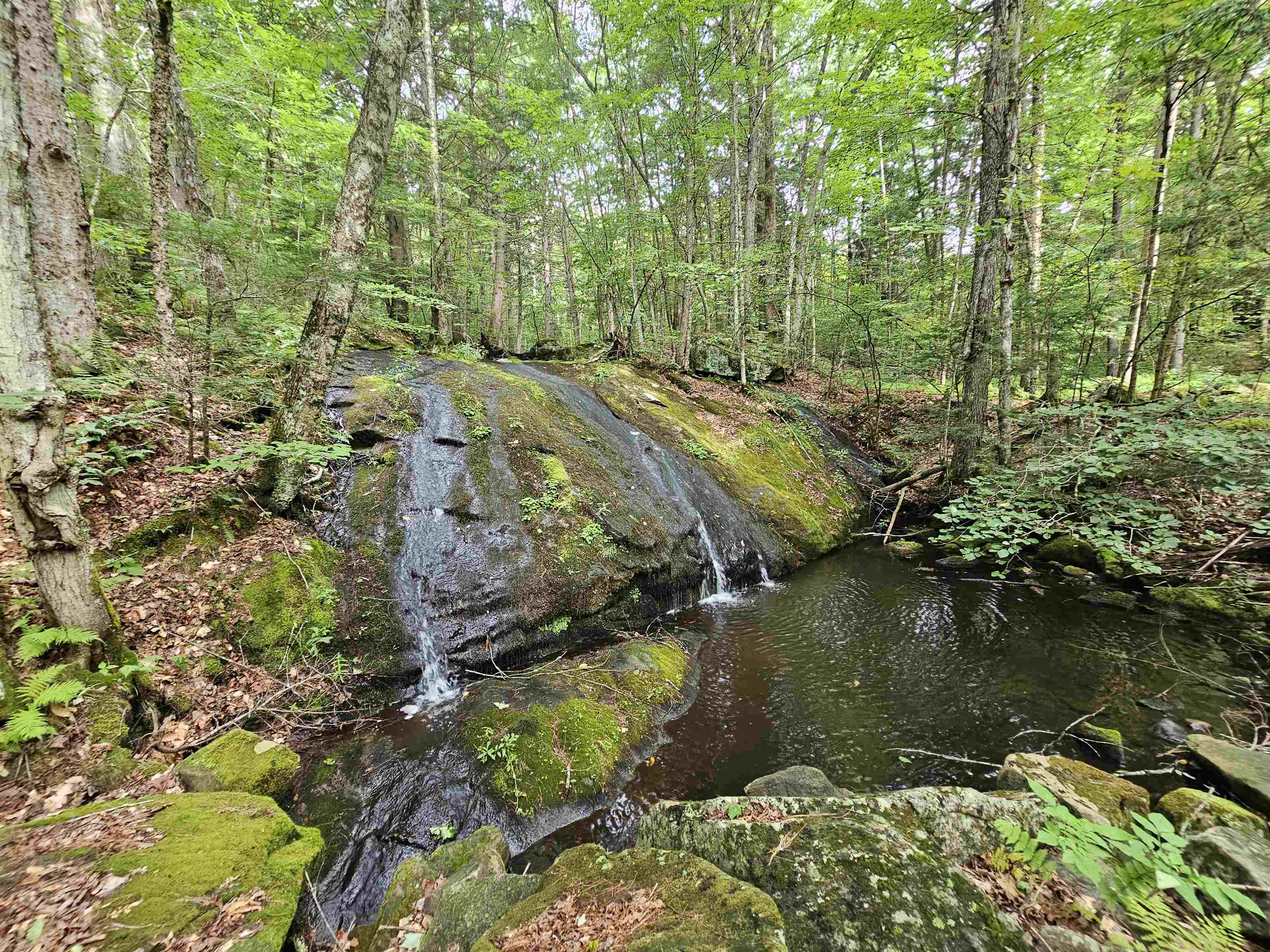 main property photo 56