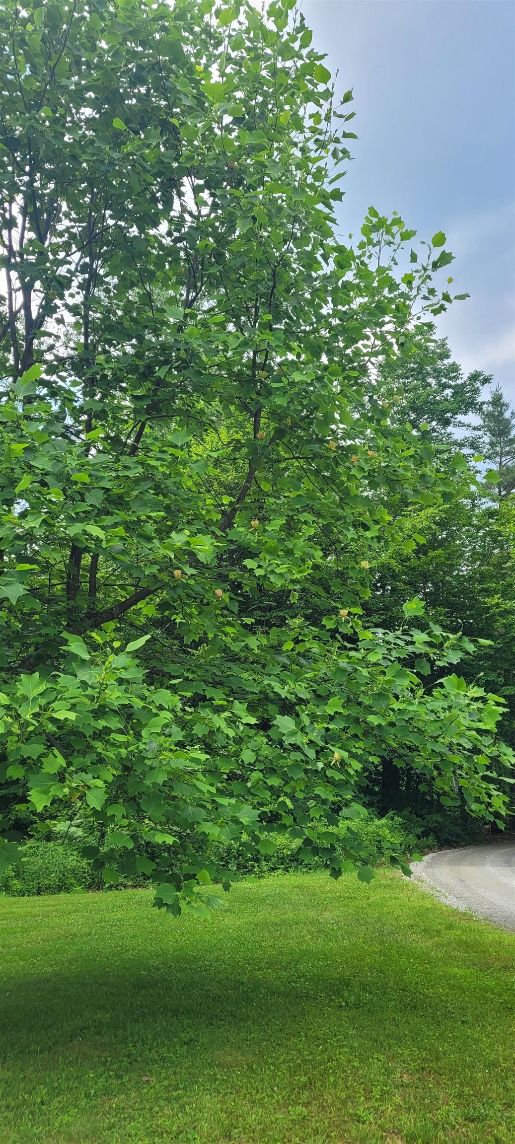 main property photo 47