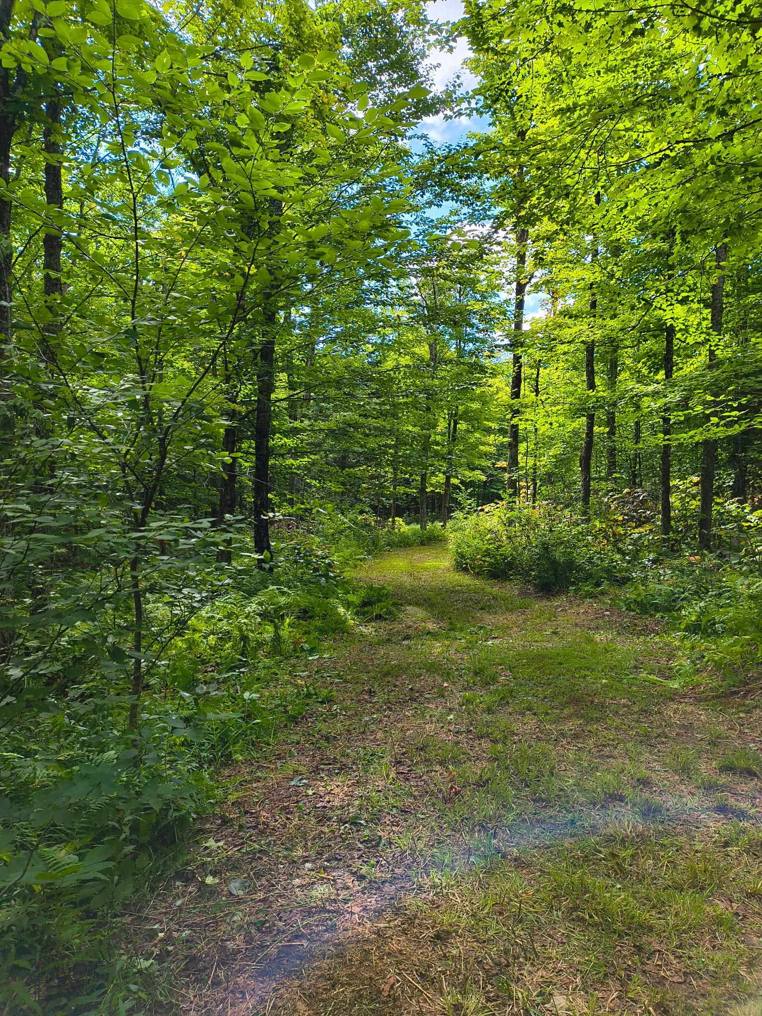 main property photo 8