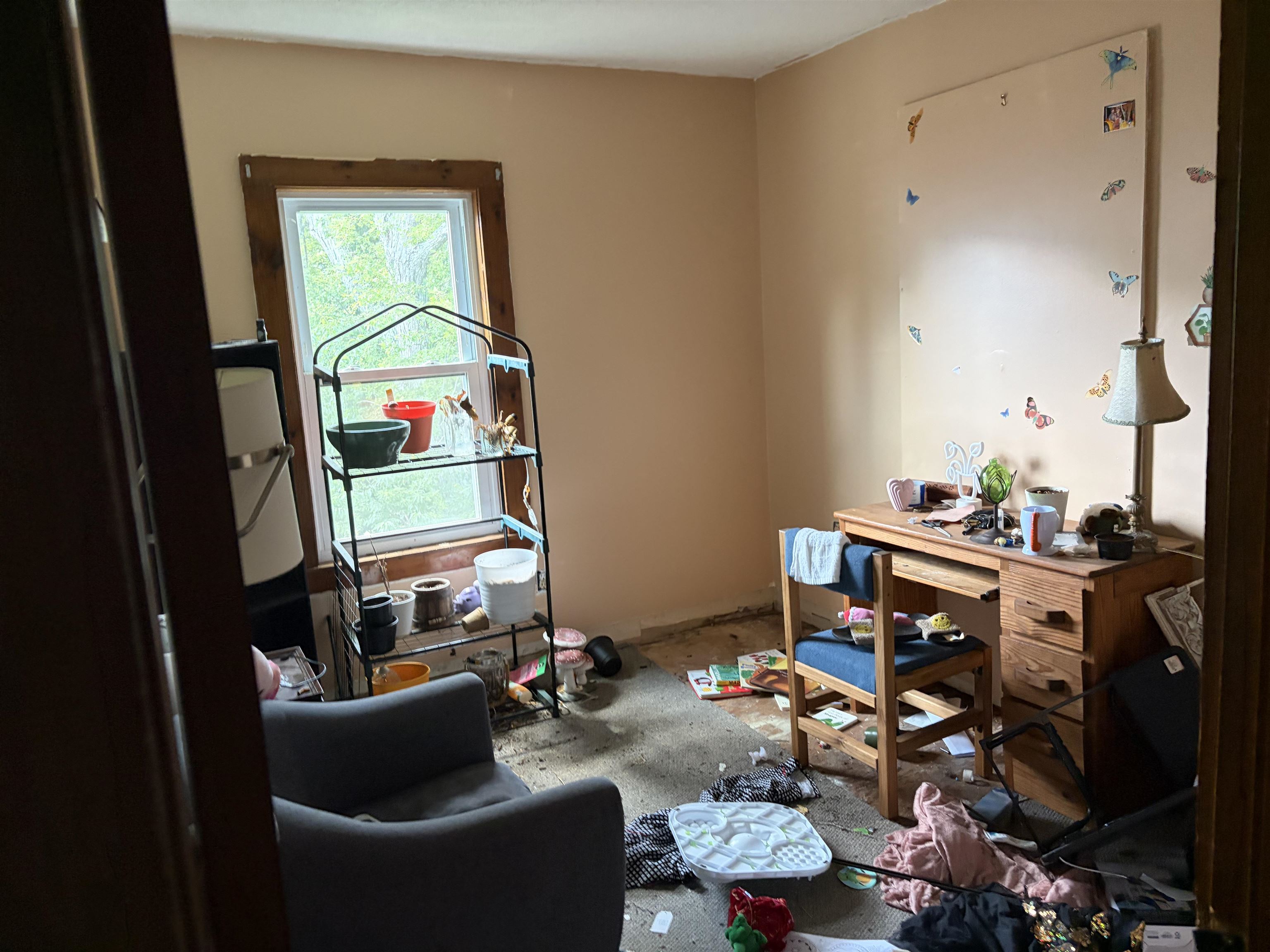 main property photo 14