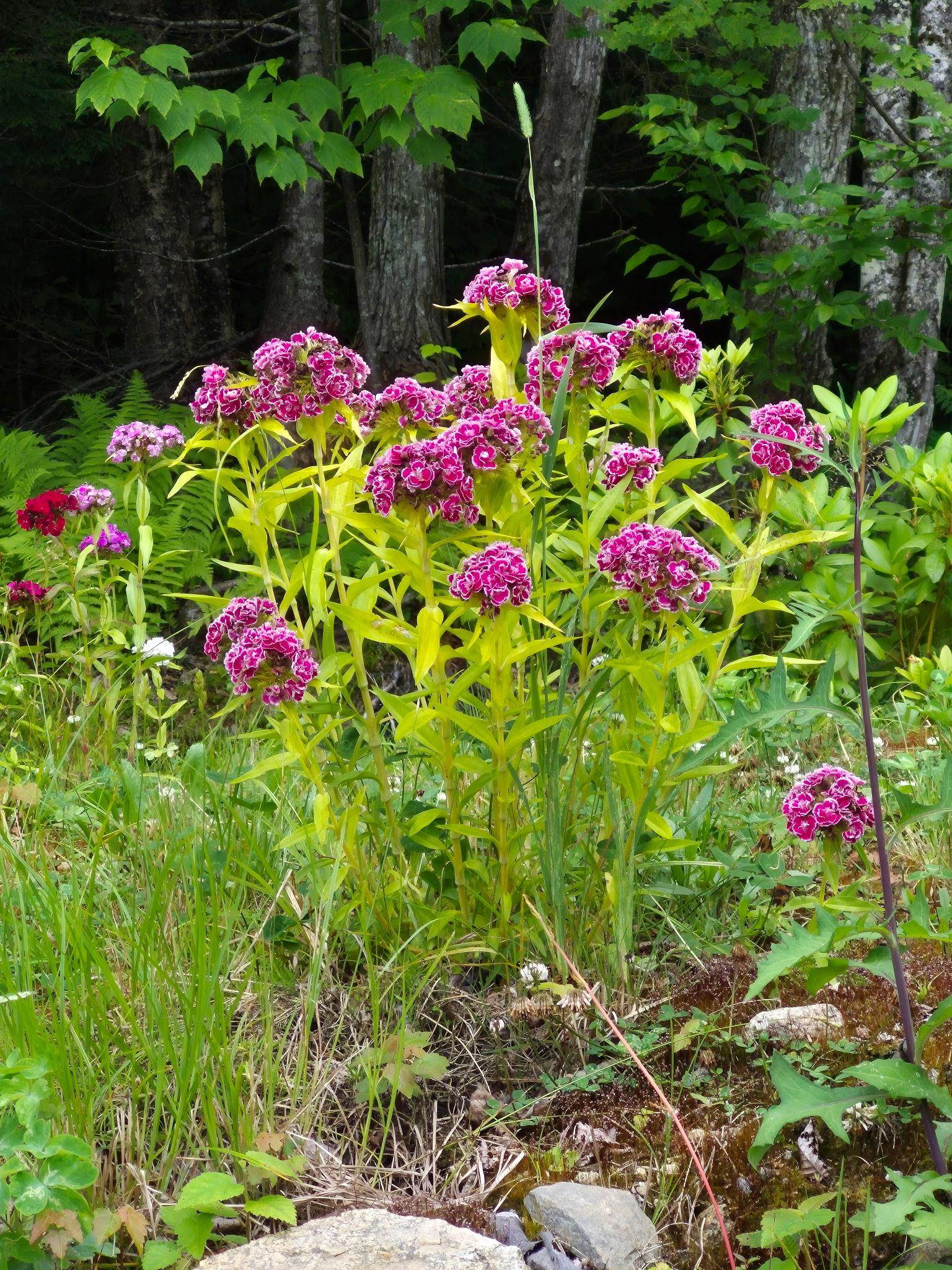 main property photo 41