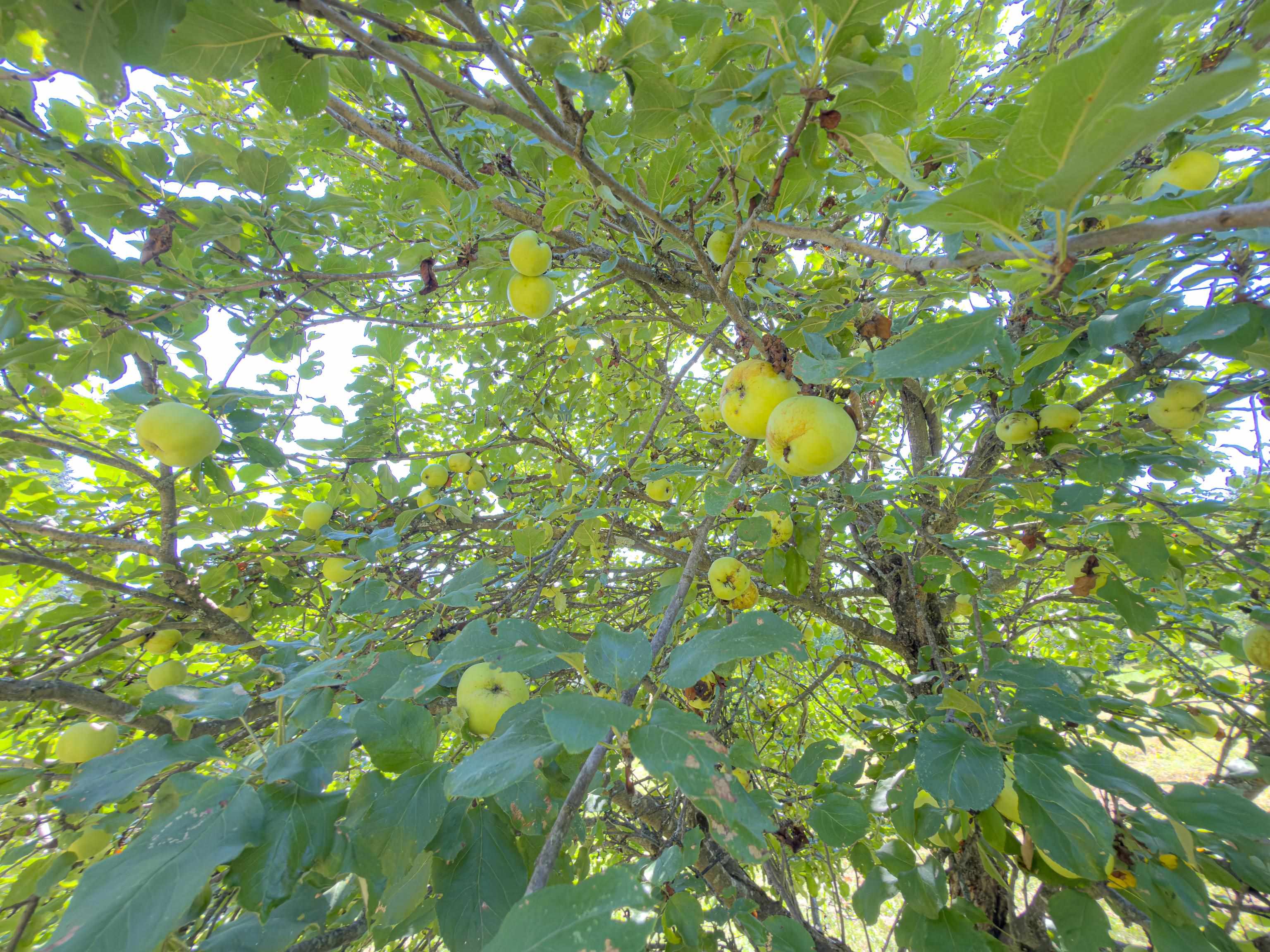 main property photo 53