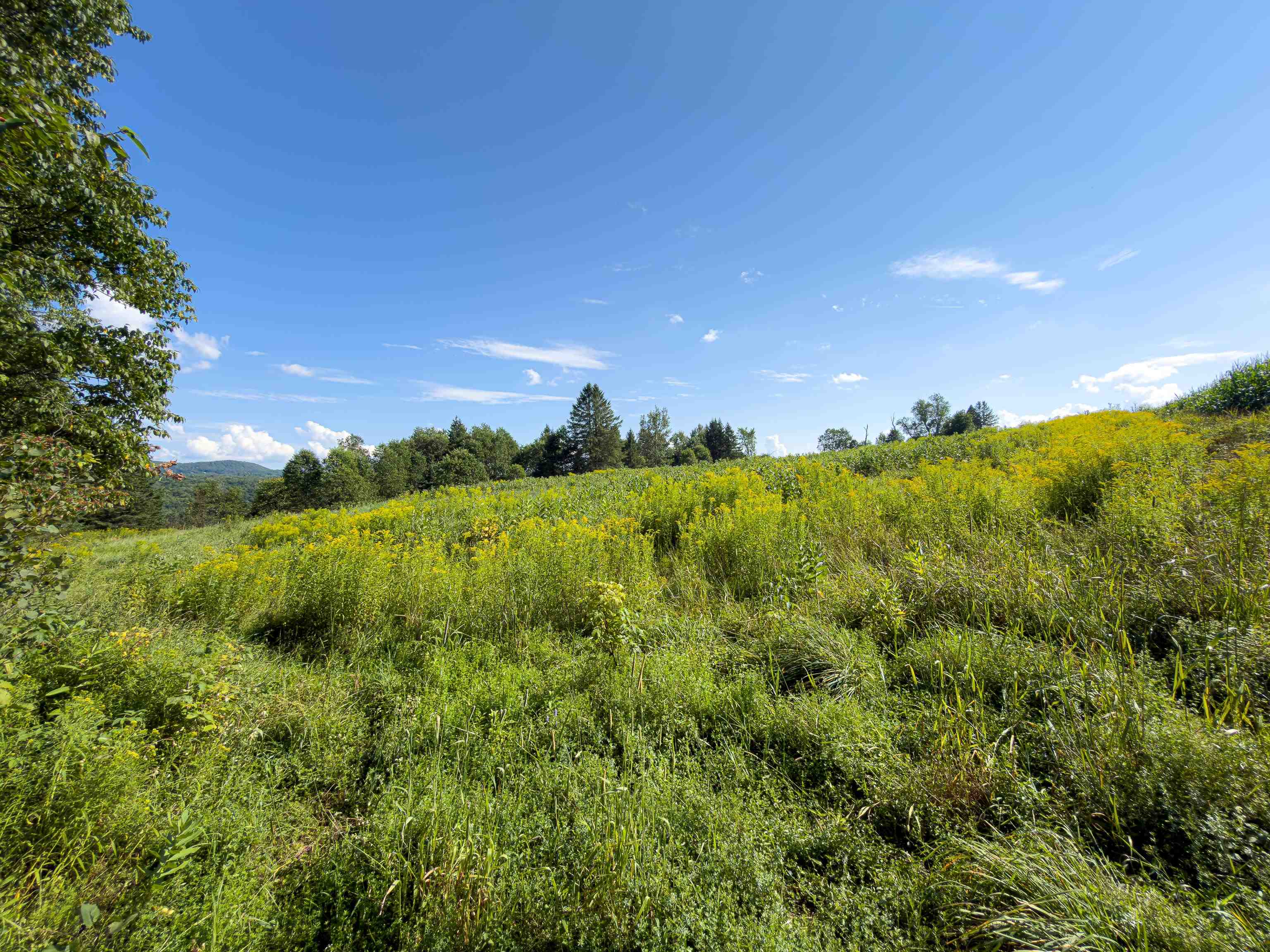 main property photo 56