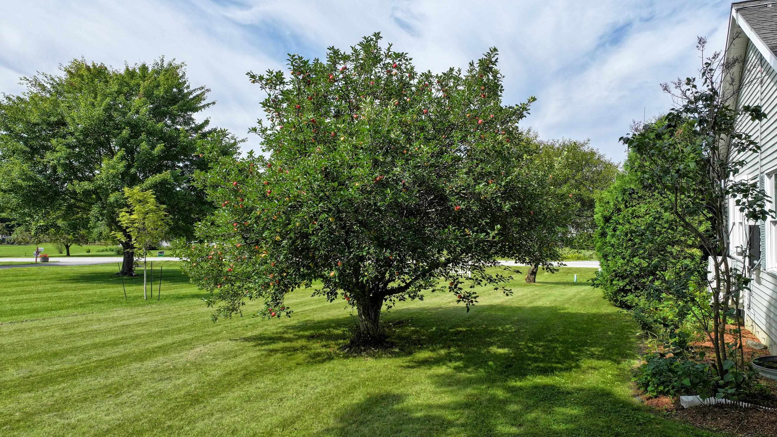 main property photo 30
