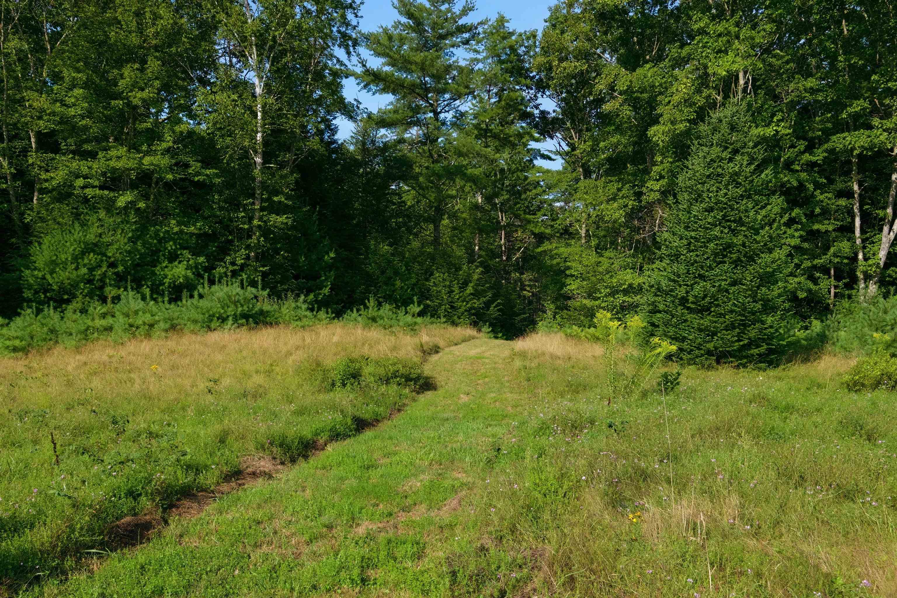 main property photo 52