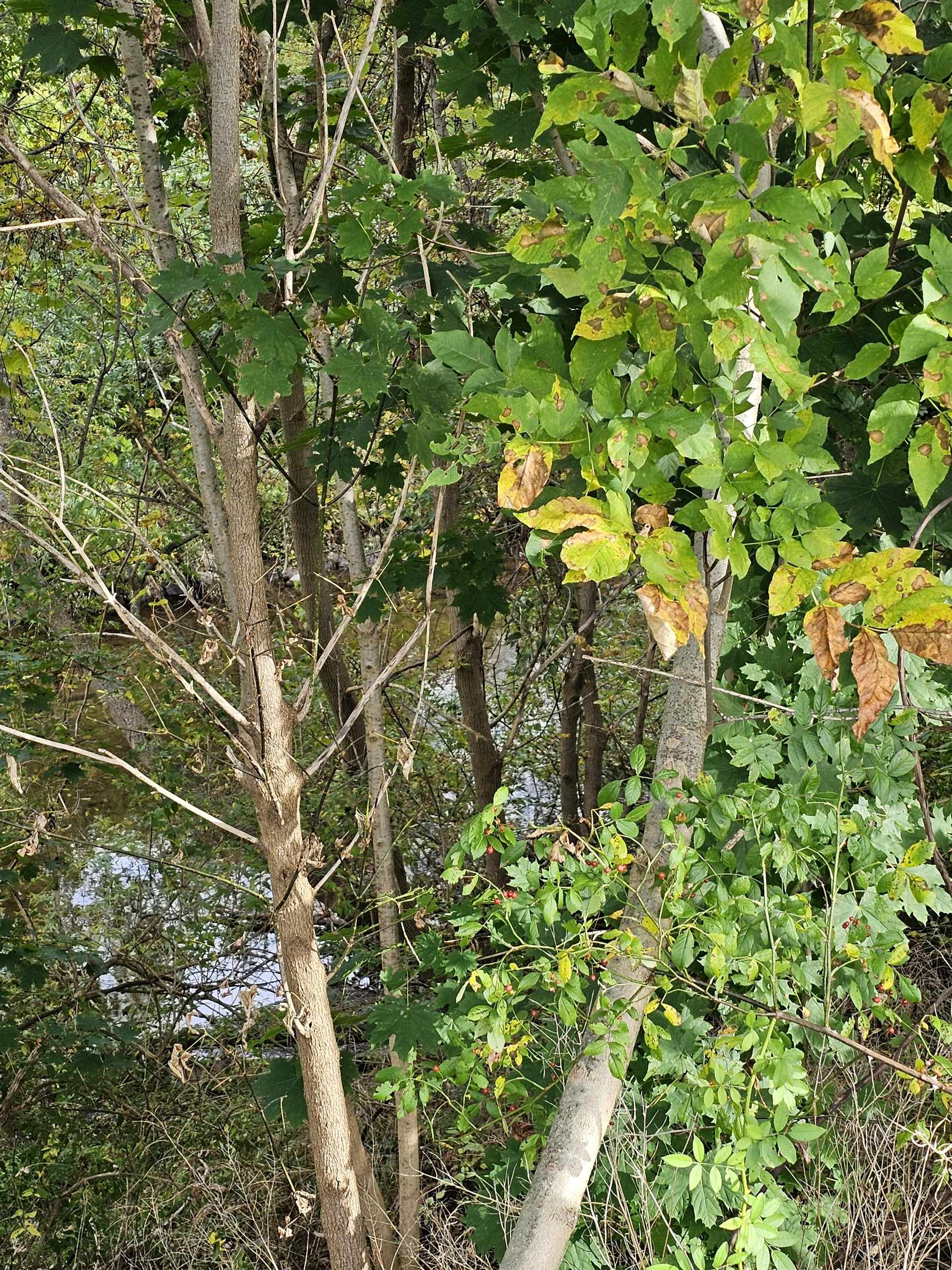 main property photo 15