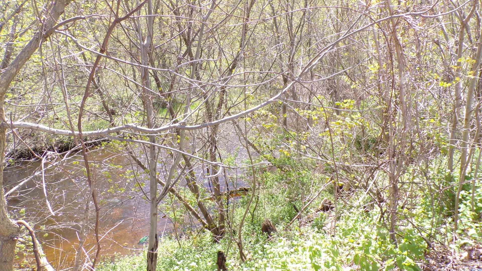 main property photo 8