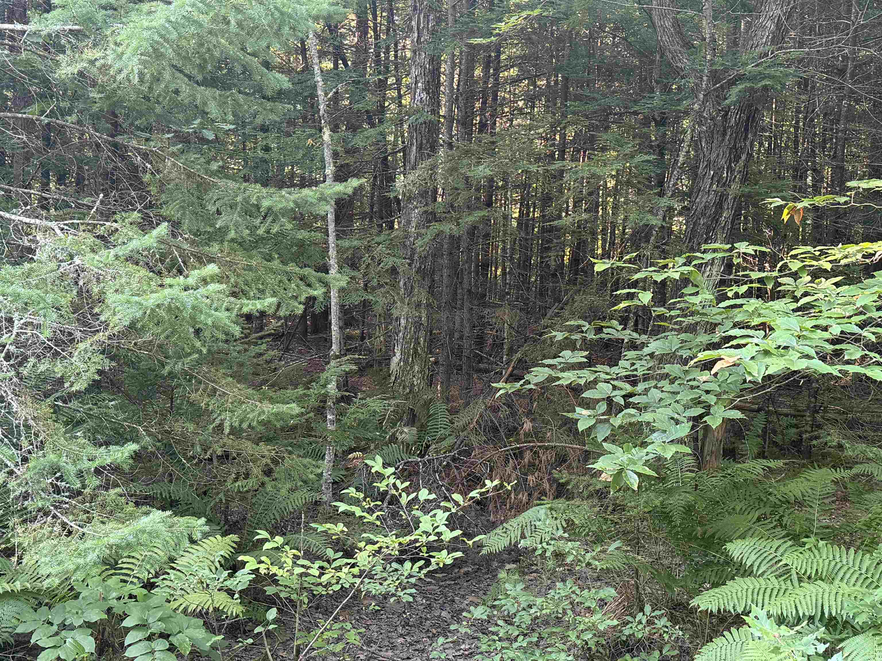 main property photo 10