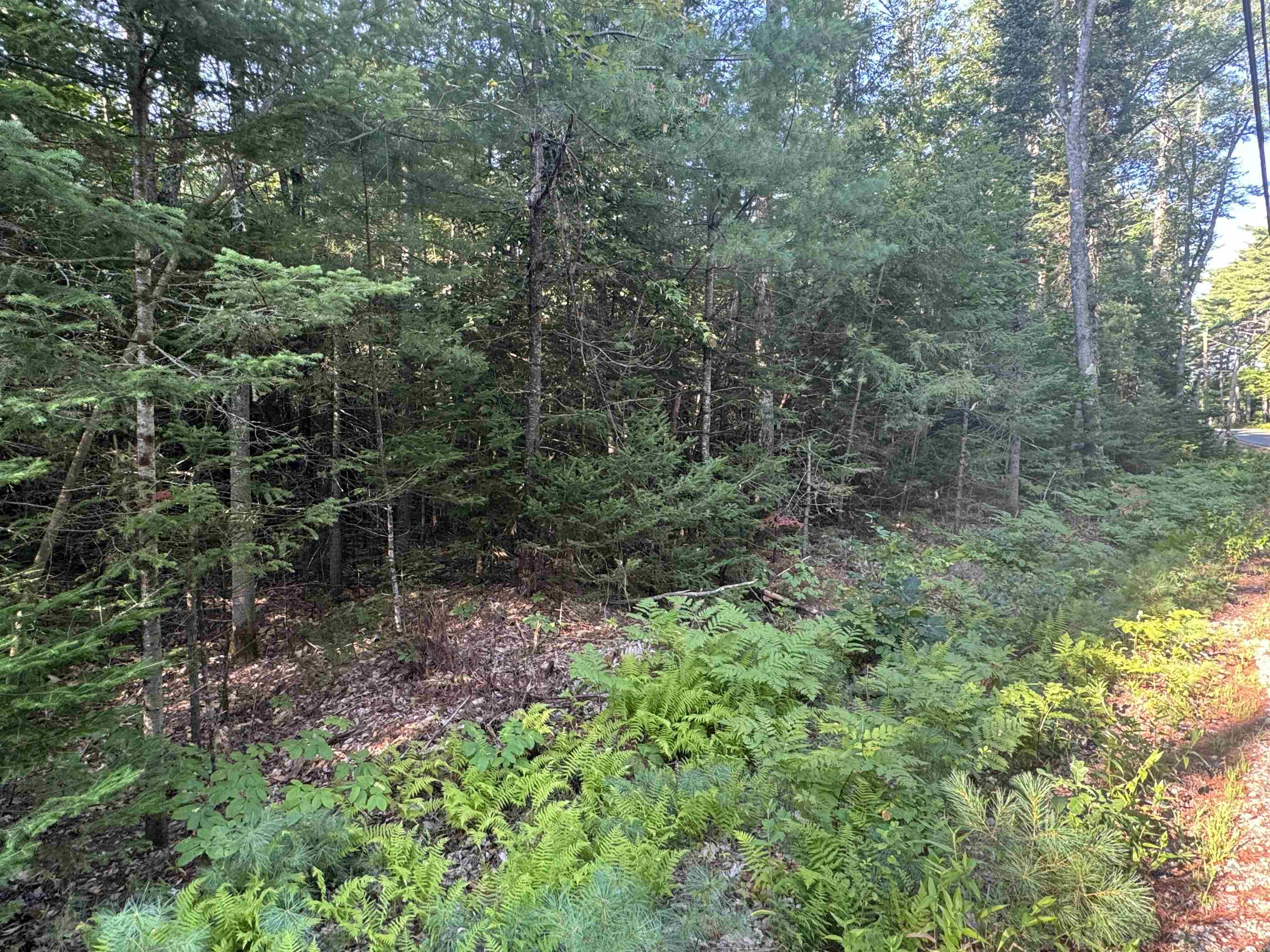 main property photo 55