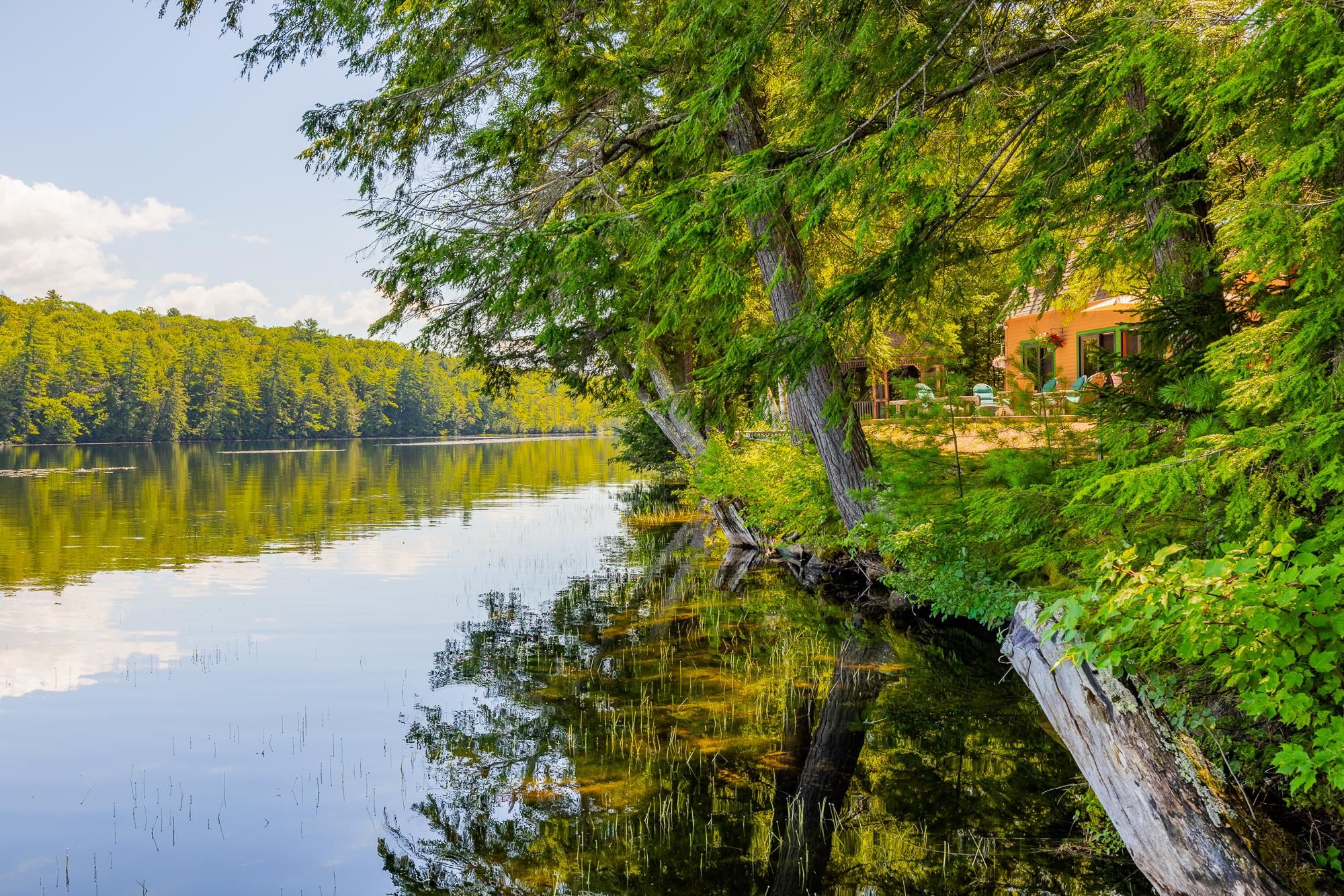 main property photo 50