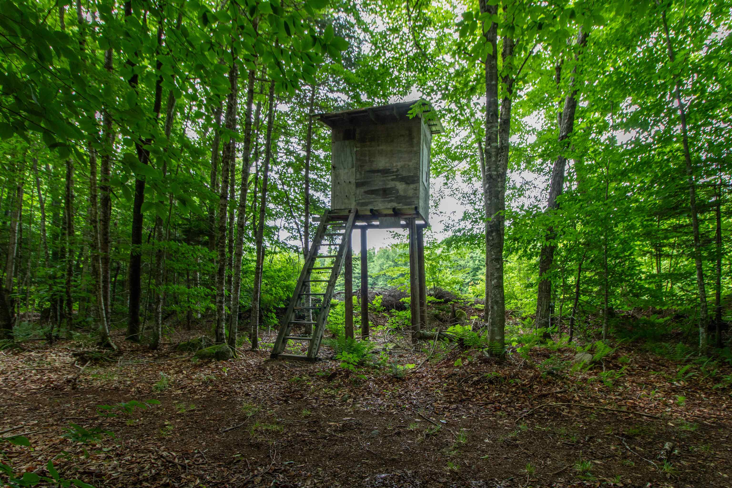 main property photo 44
