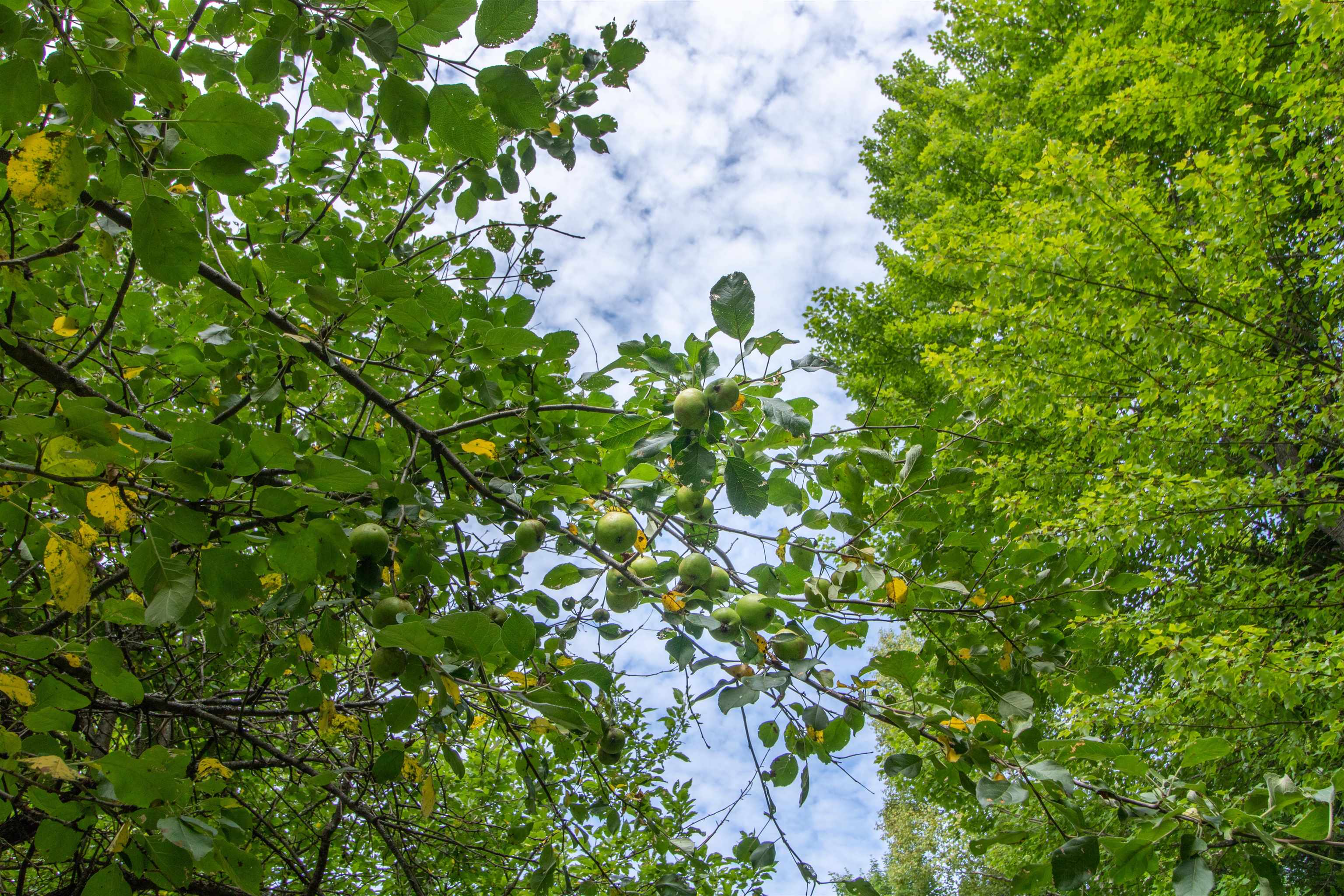 main property photo 53