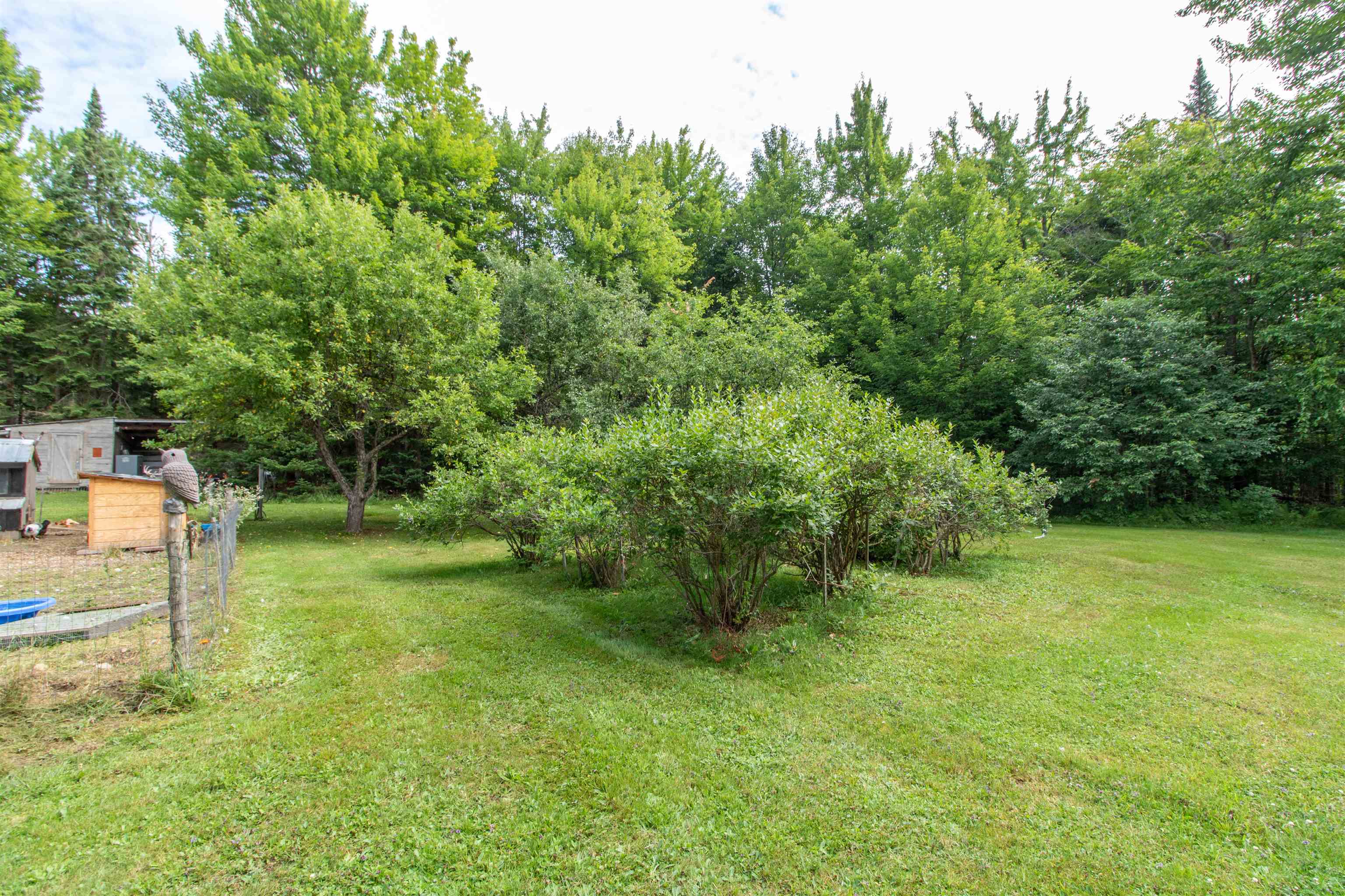 main property photo 54