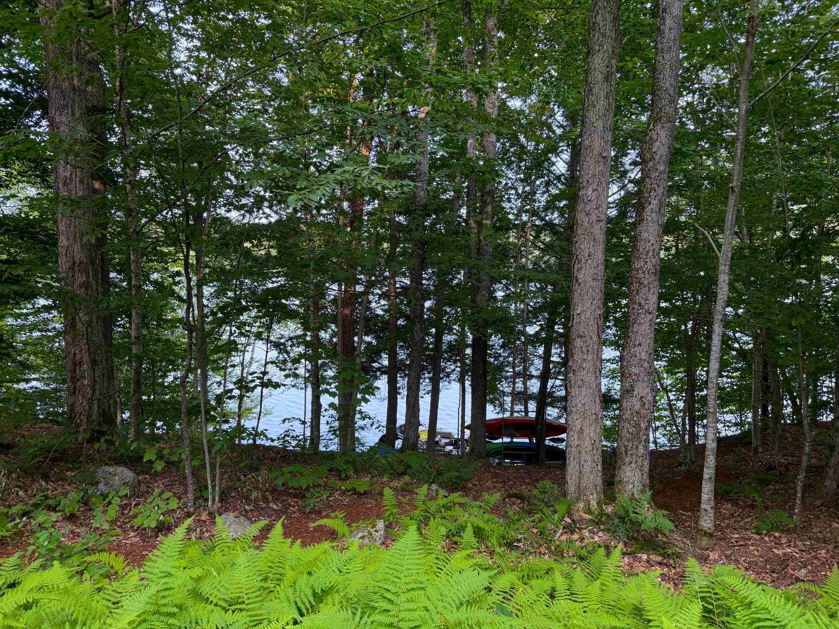 main property photo 41