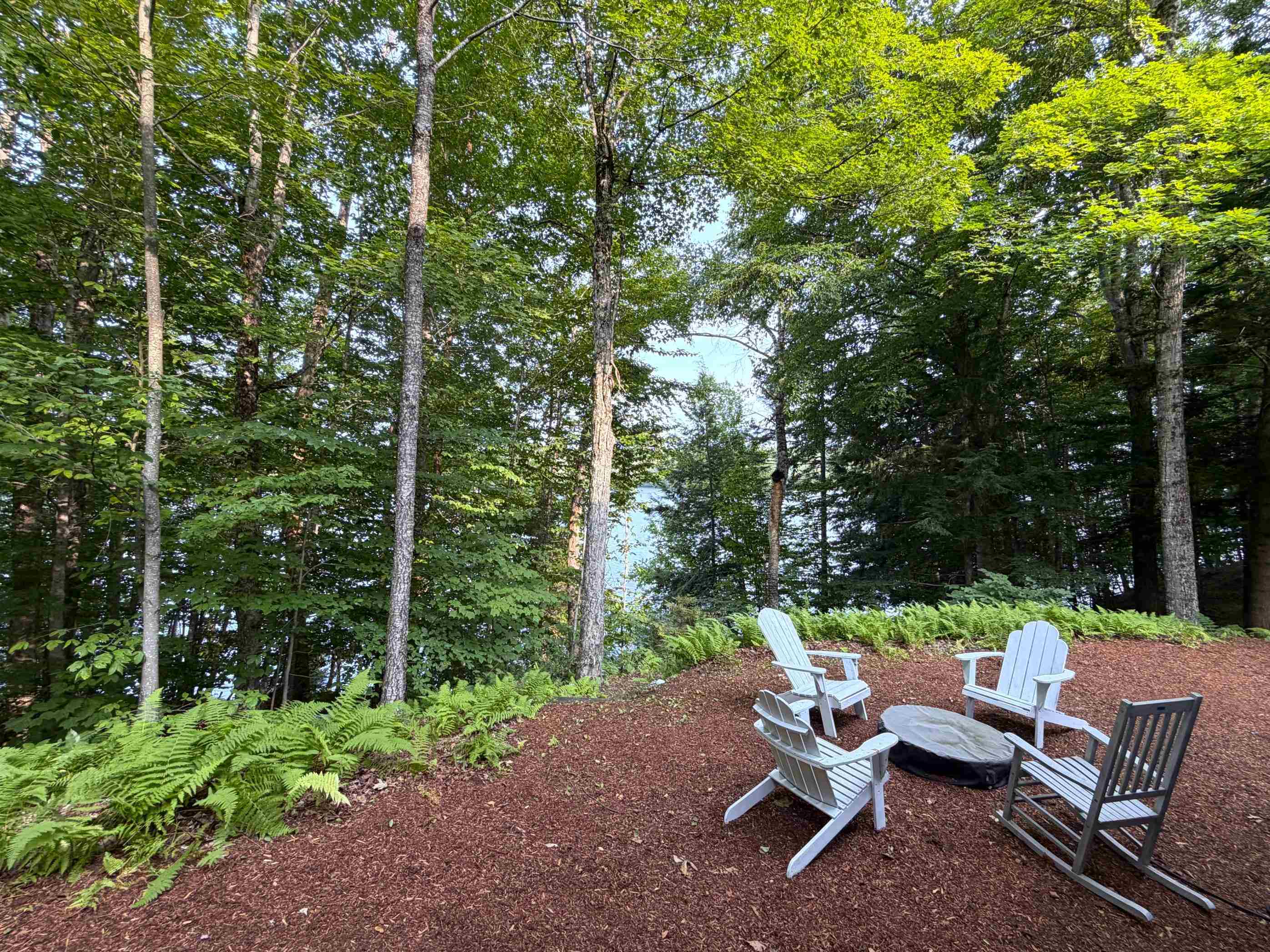 main property photo 51