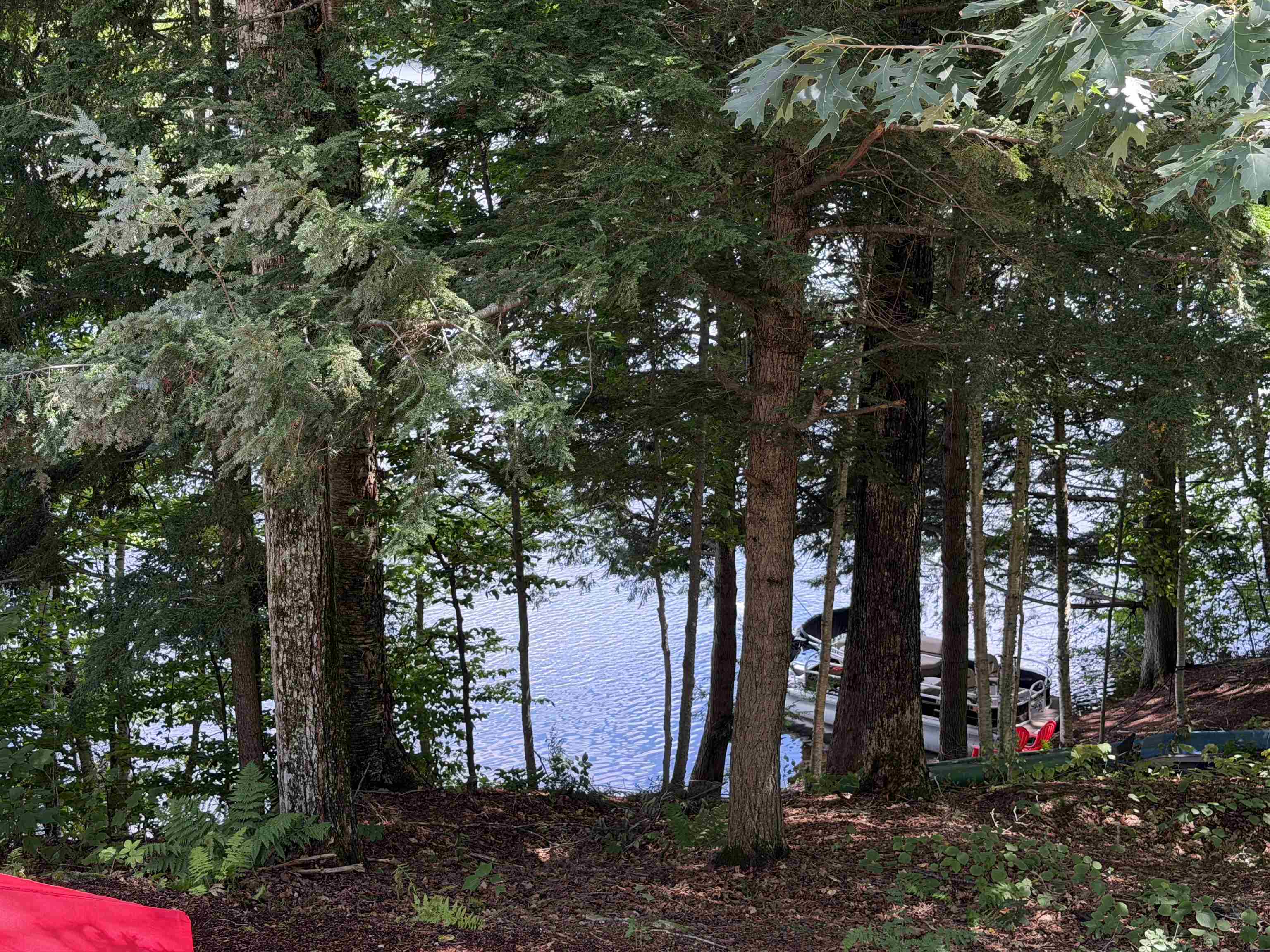 main property photo 55
