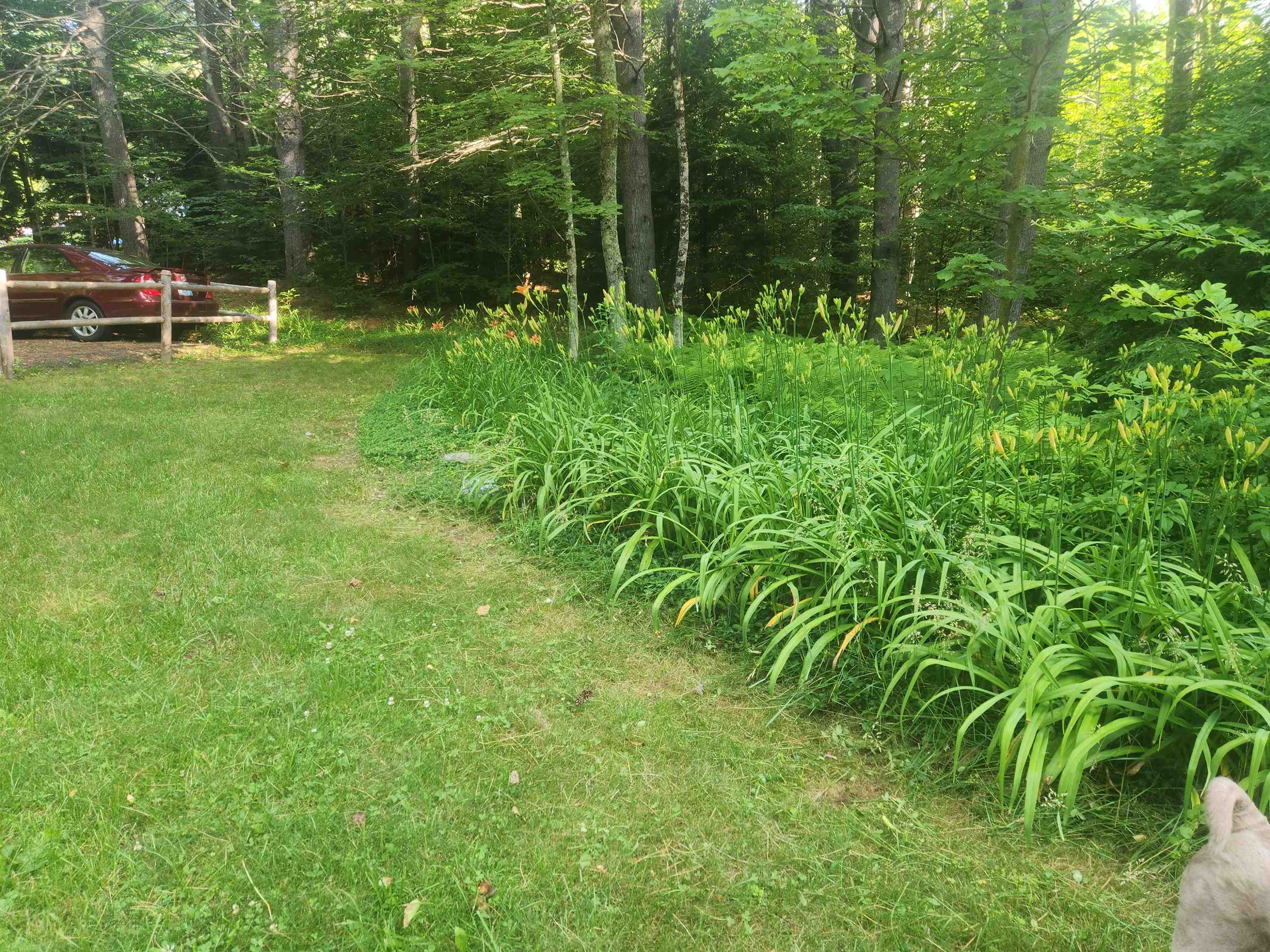 main property photo 39