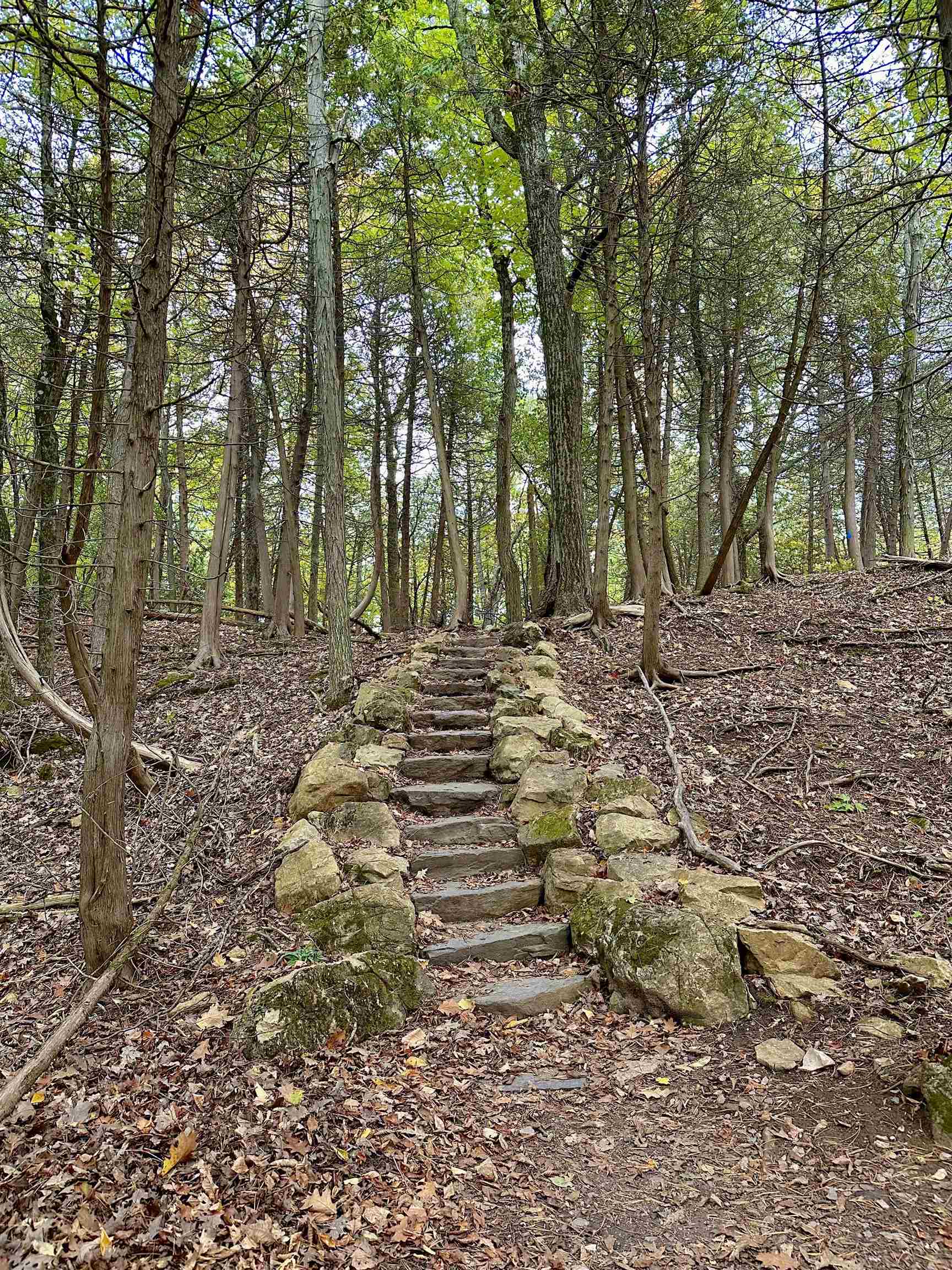 main property photo 48