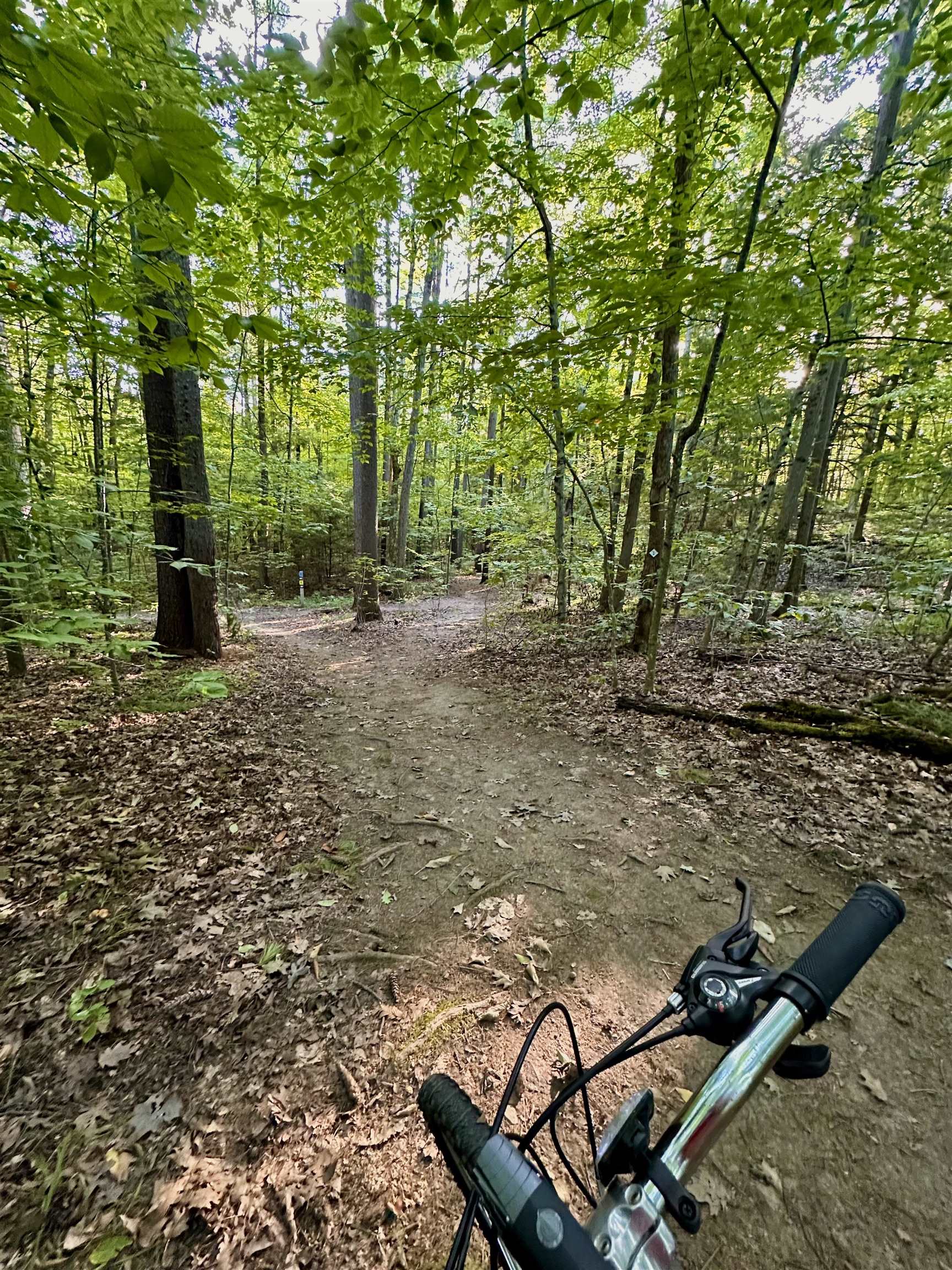 main property photo 50