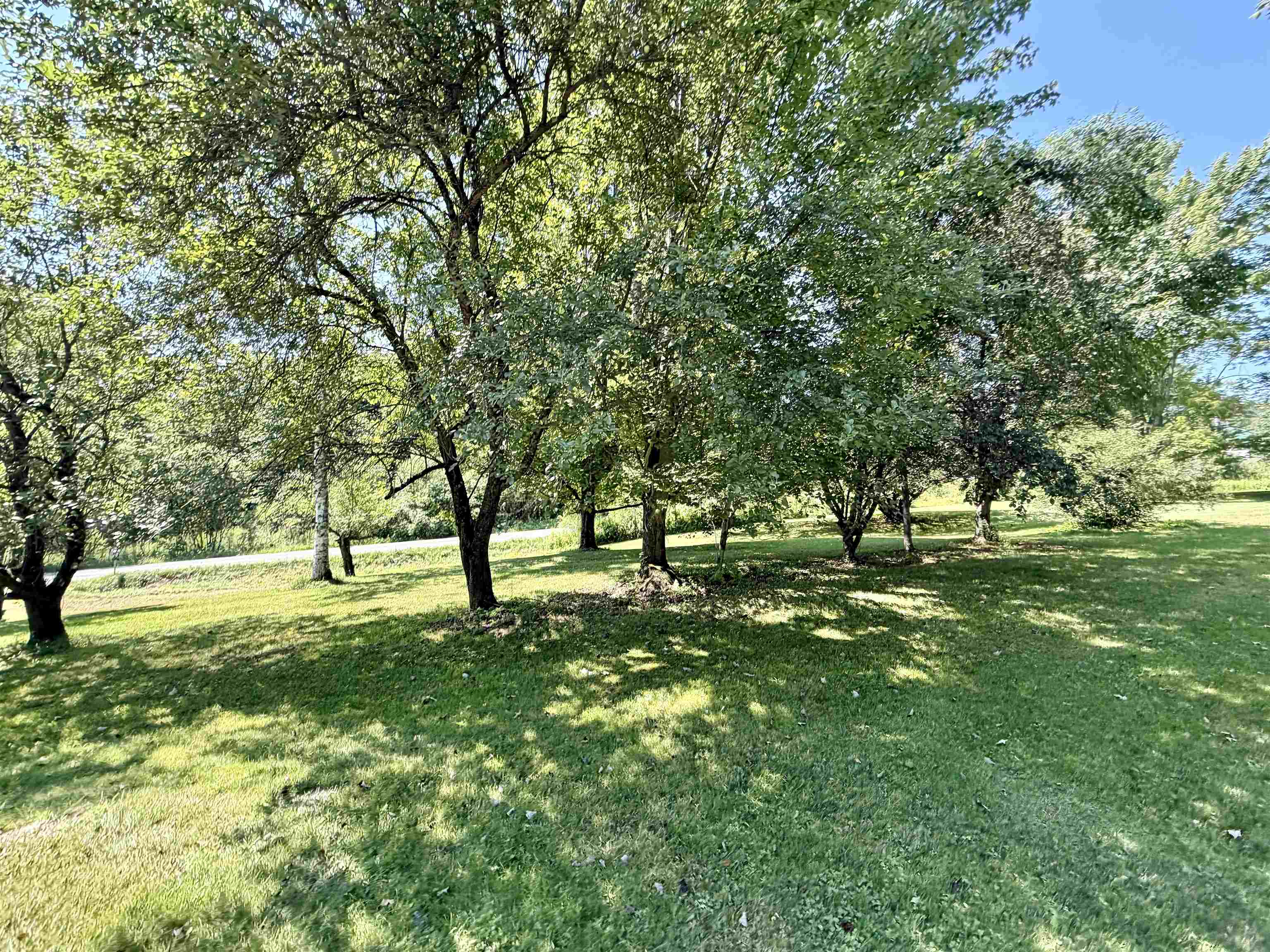 main property photo 56