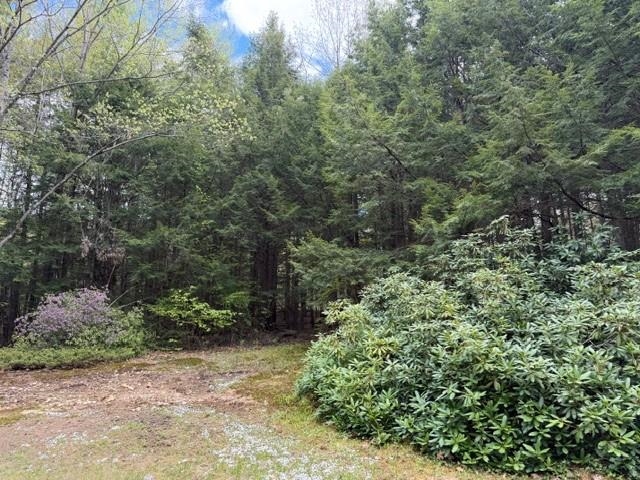 main property photo 33