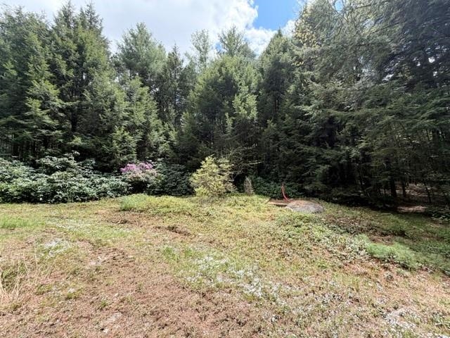 main property photo 36