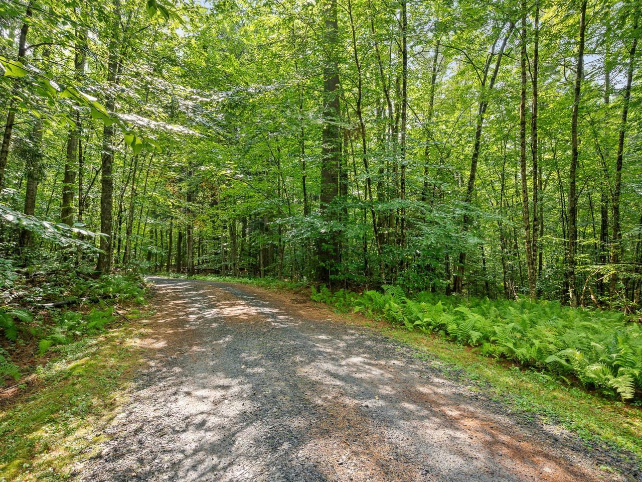 main property photo 59