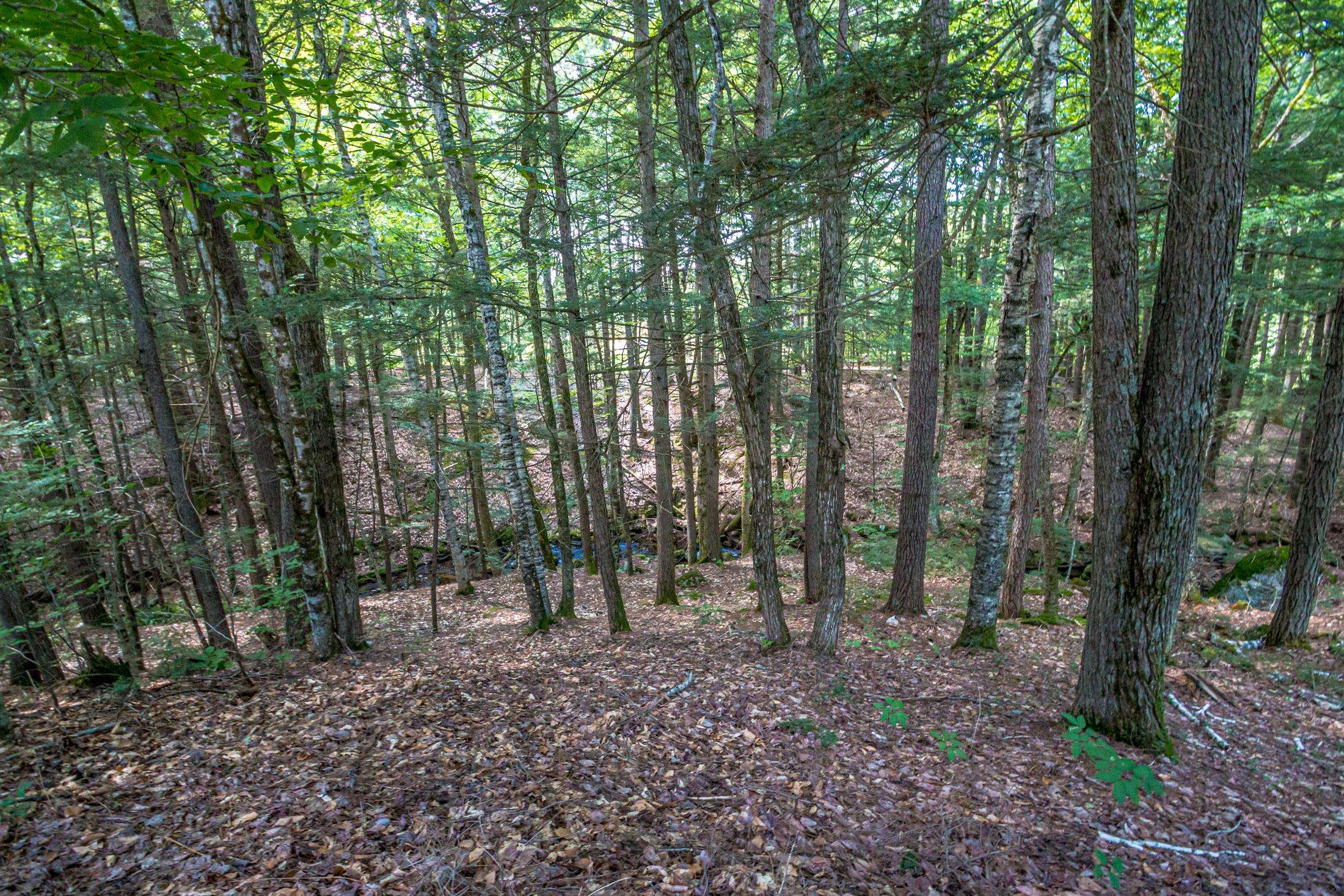 main property photo 55