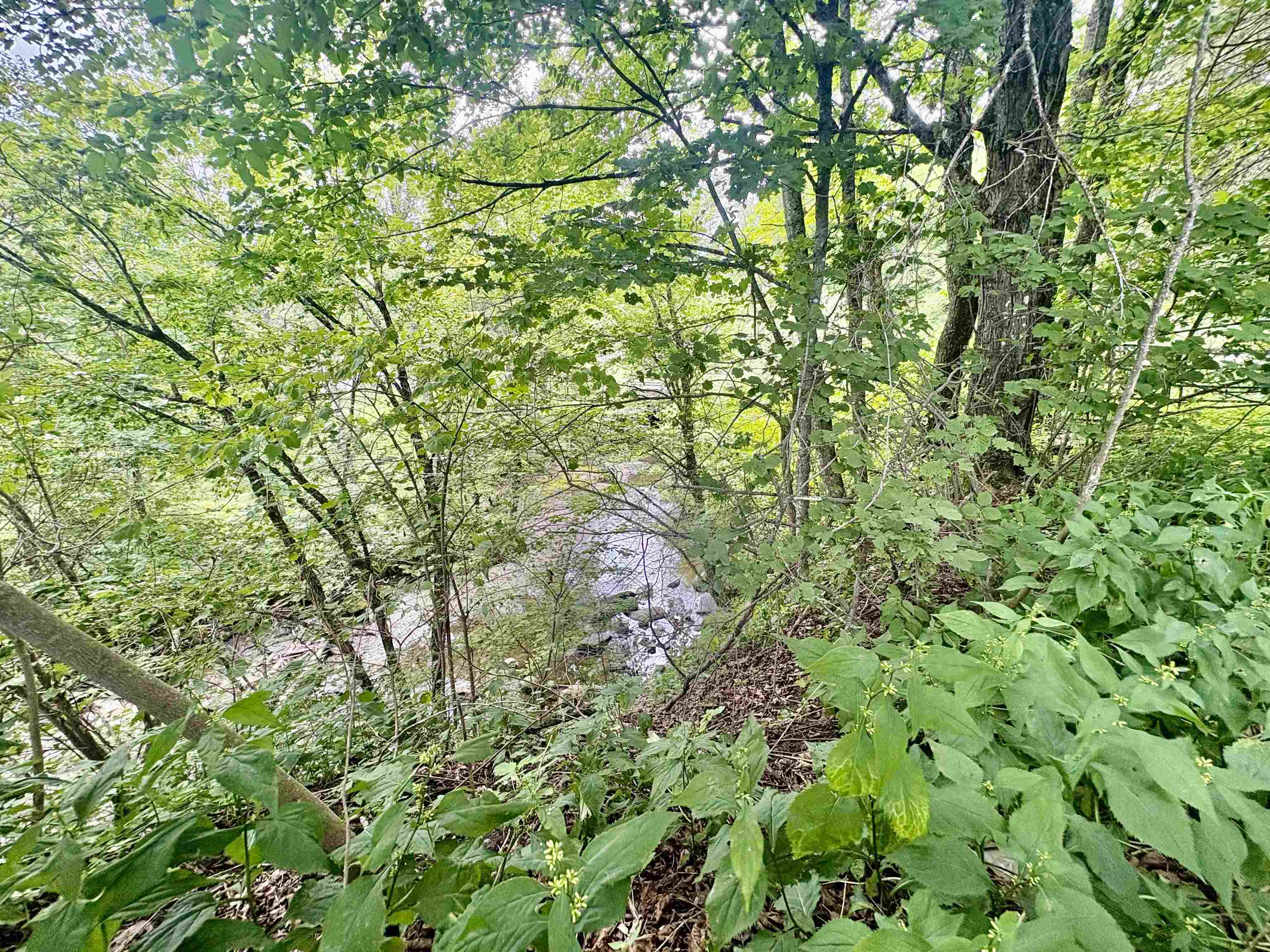 main property photo 44