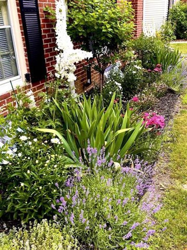 main property photo 17