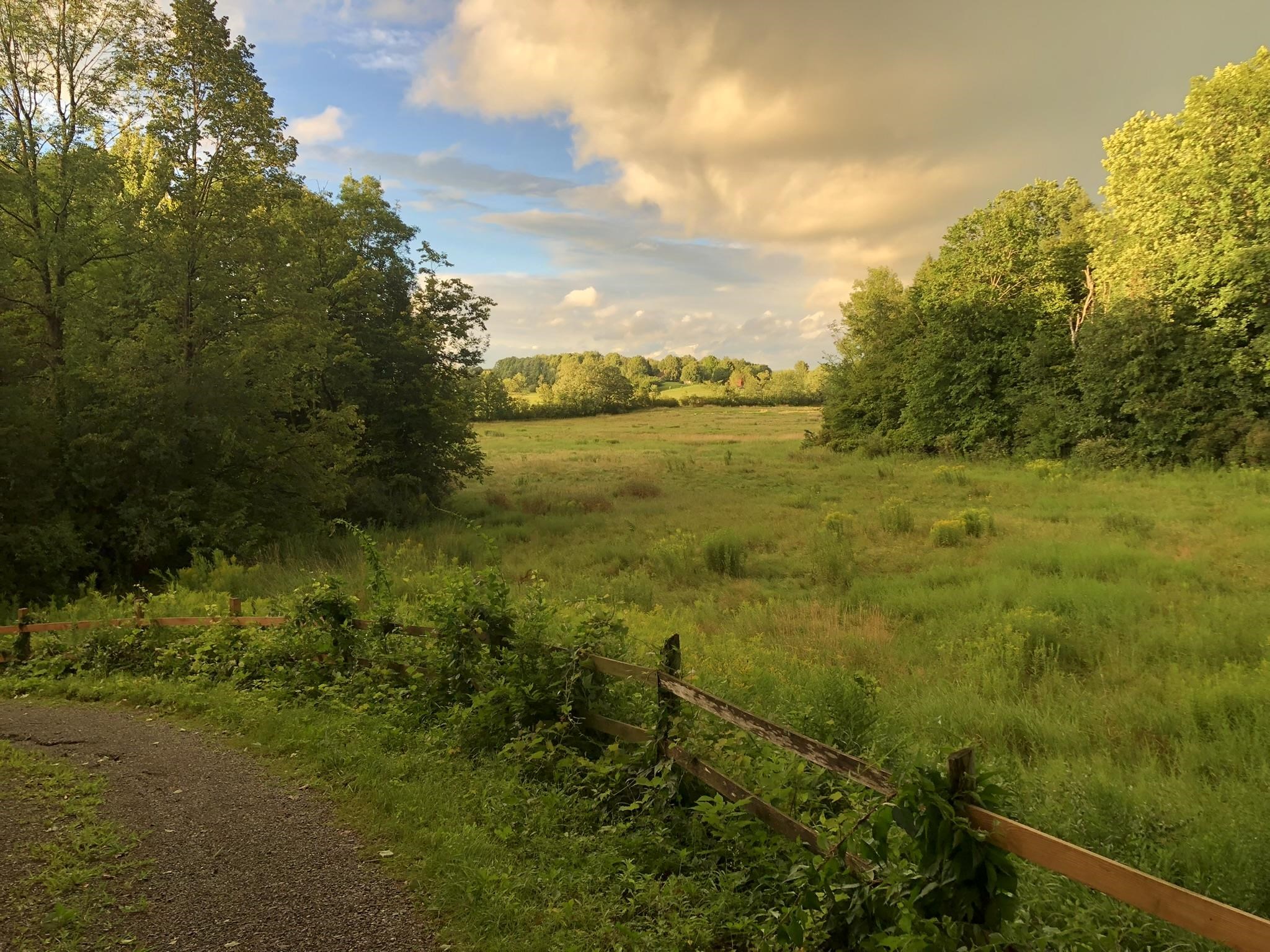 main property photo 56