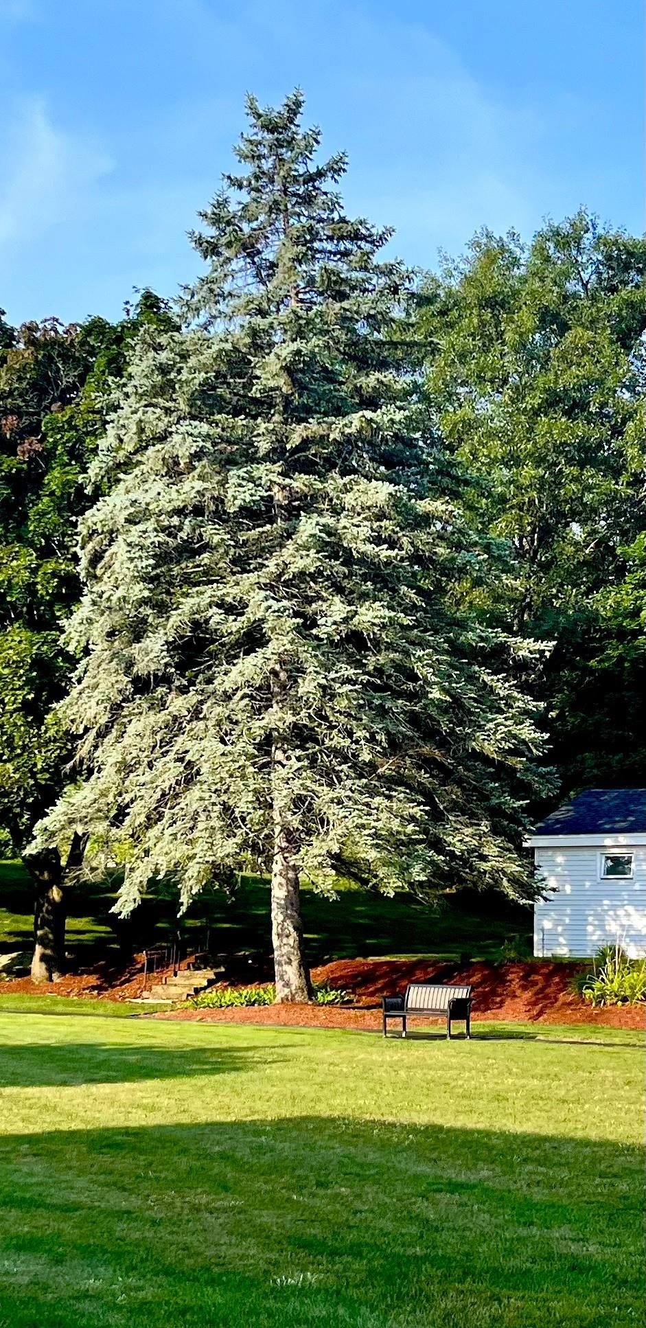 main property photo 26