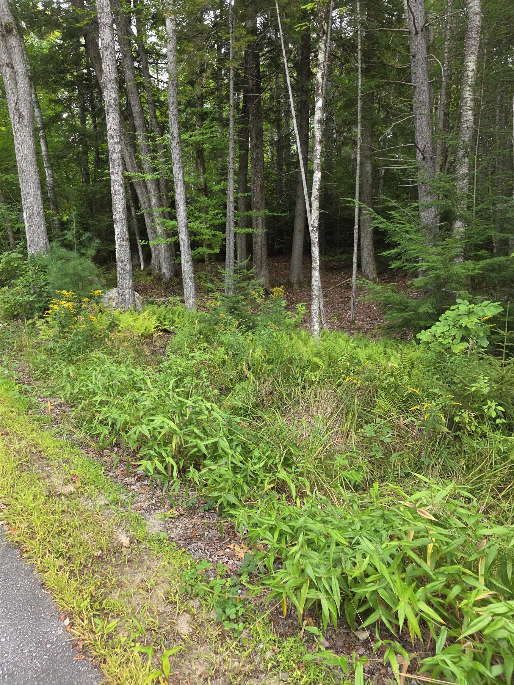 main property photo 38