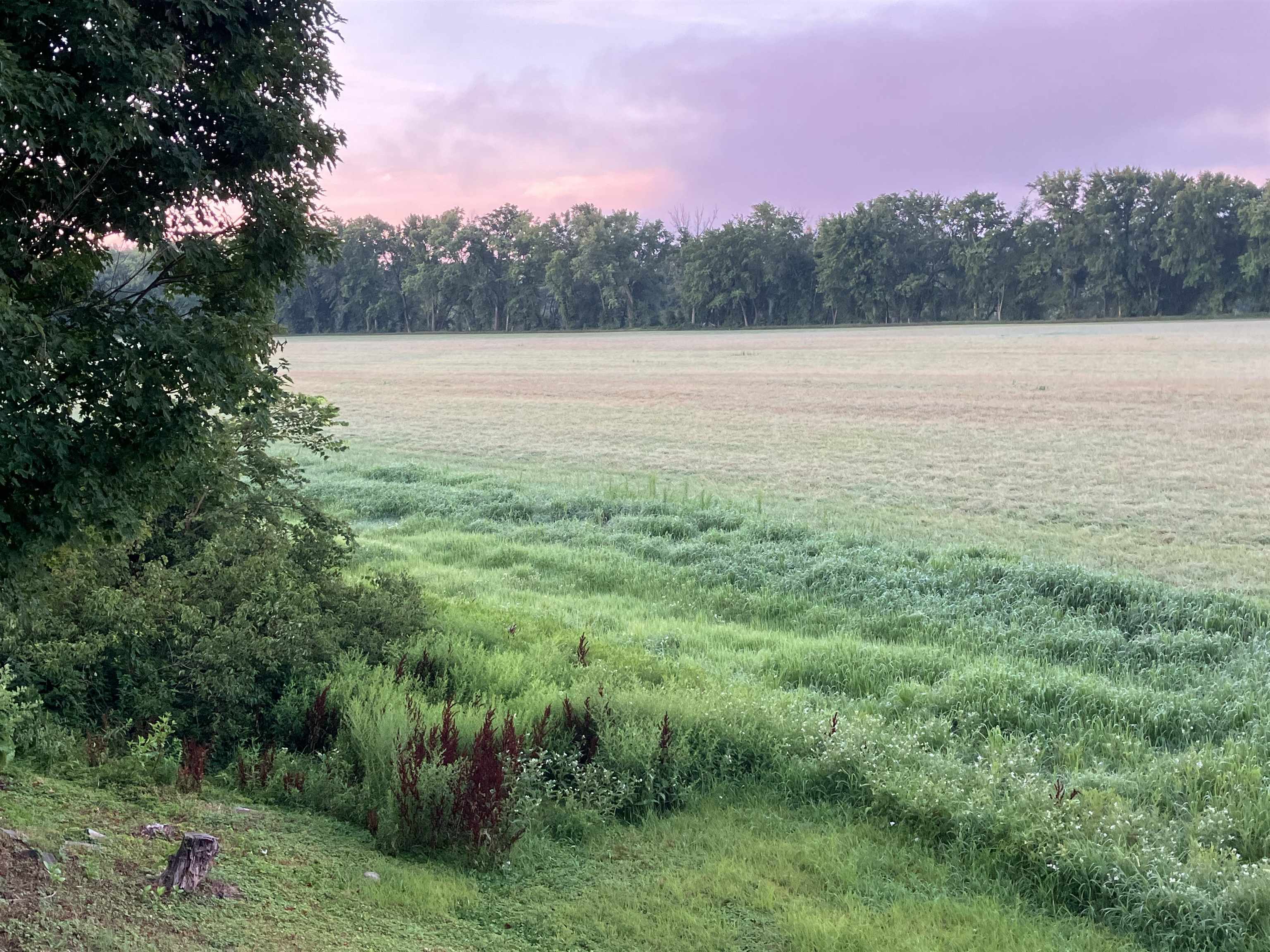 main property photo 46