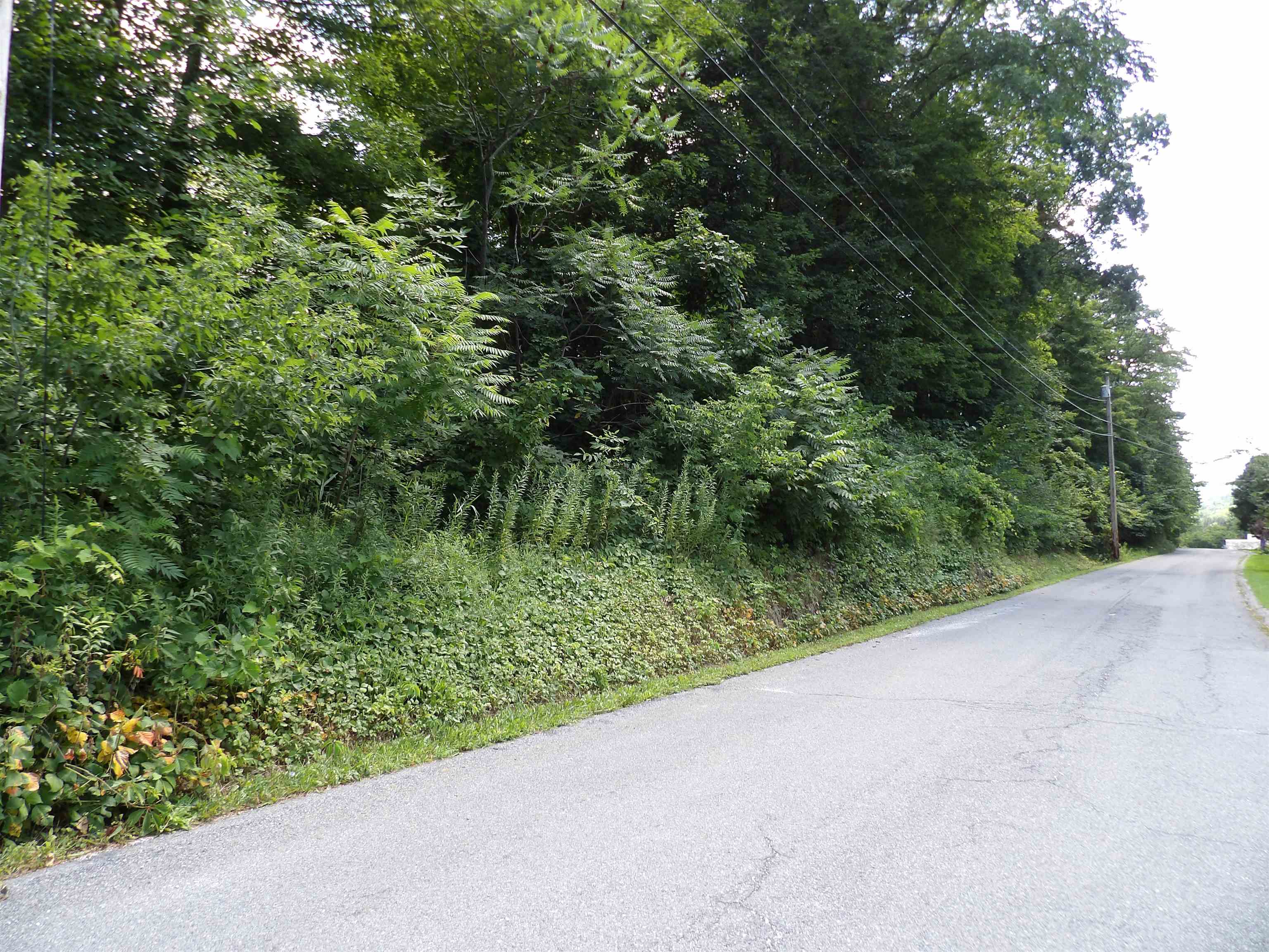 main property photo 10