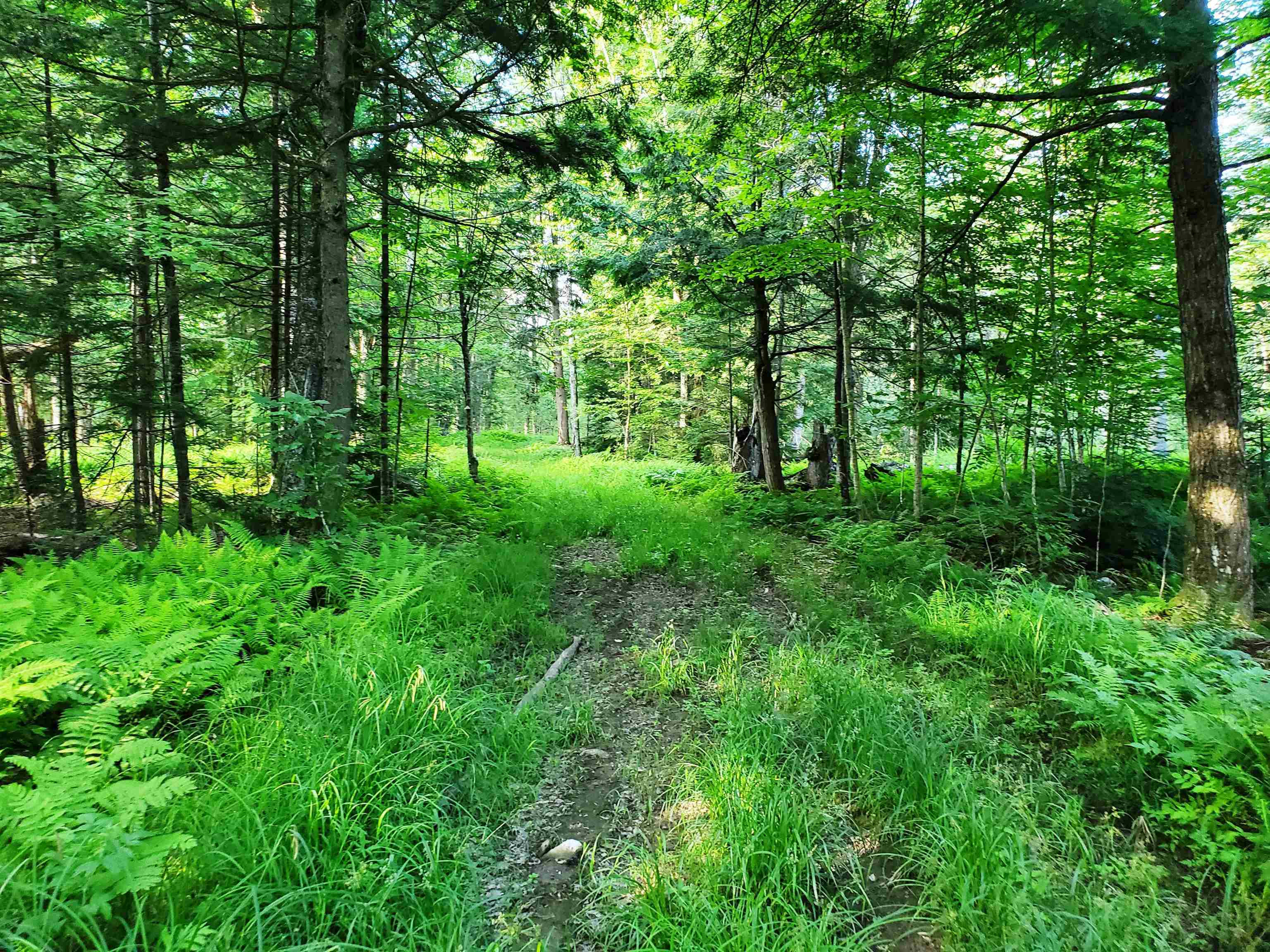 main property photo 35