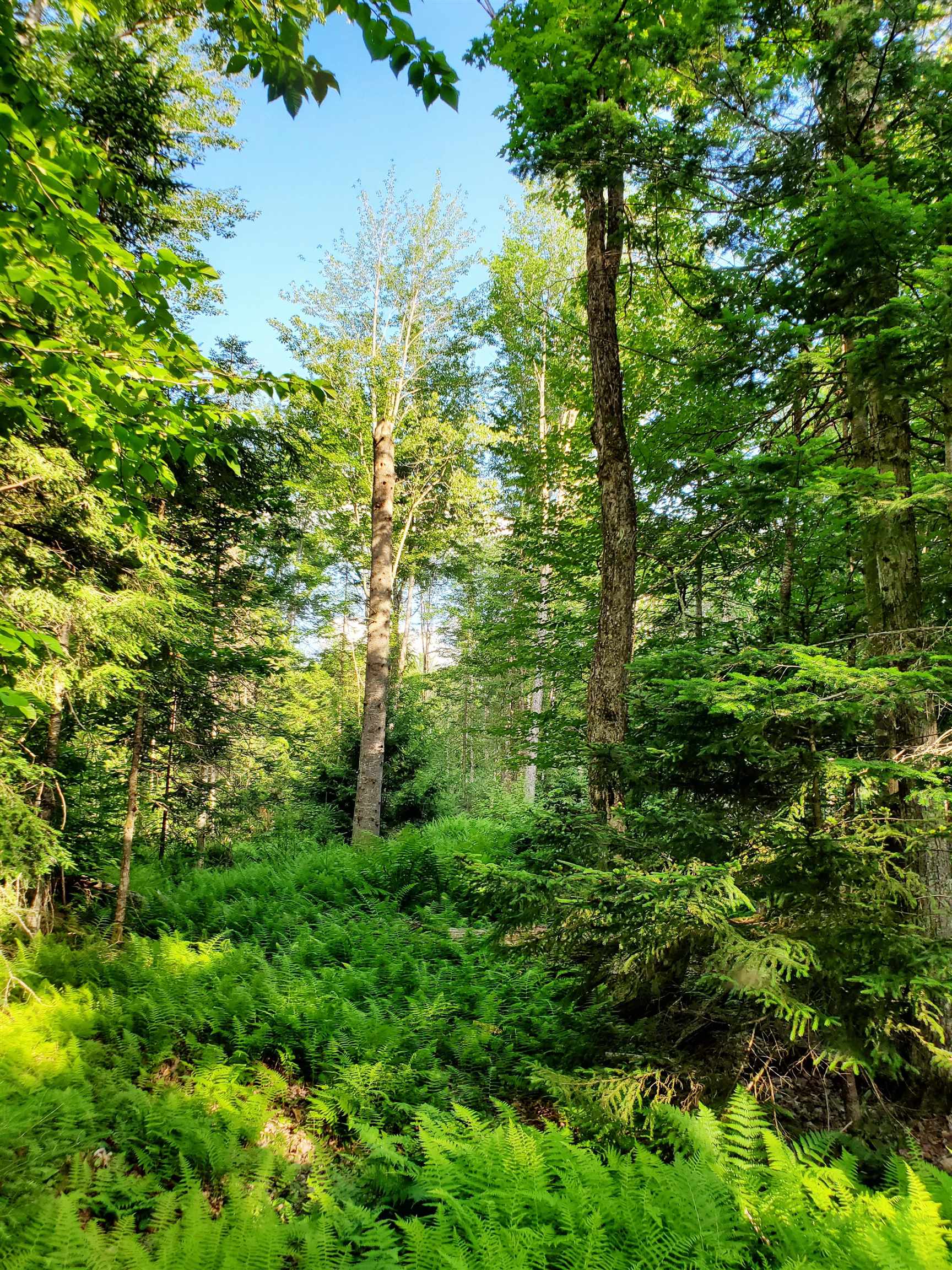 main property photo 36