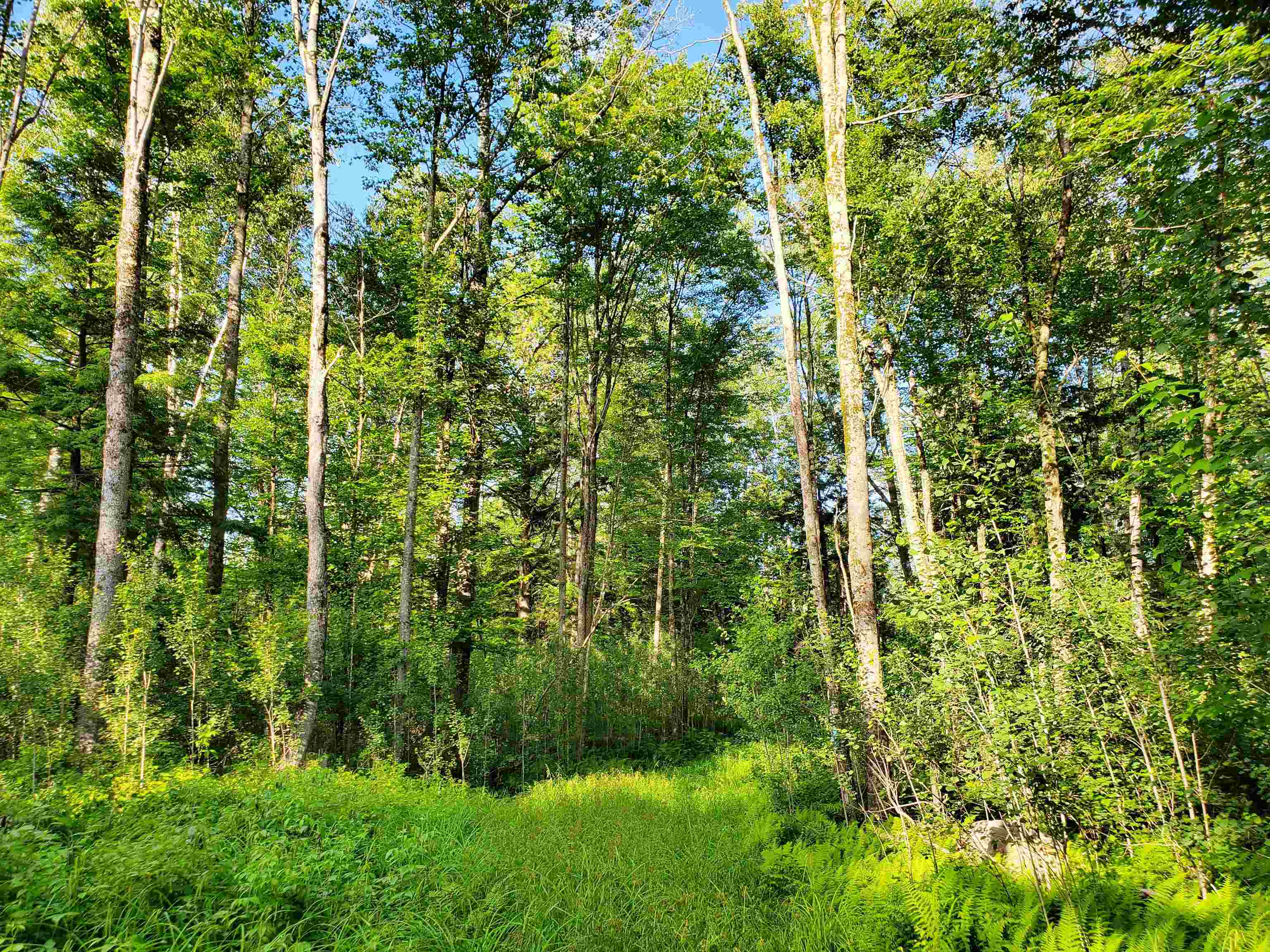 main property photo 44
