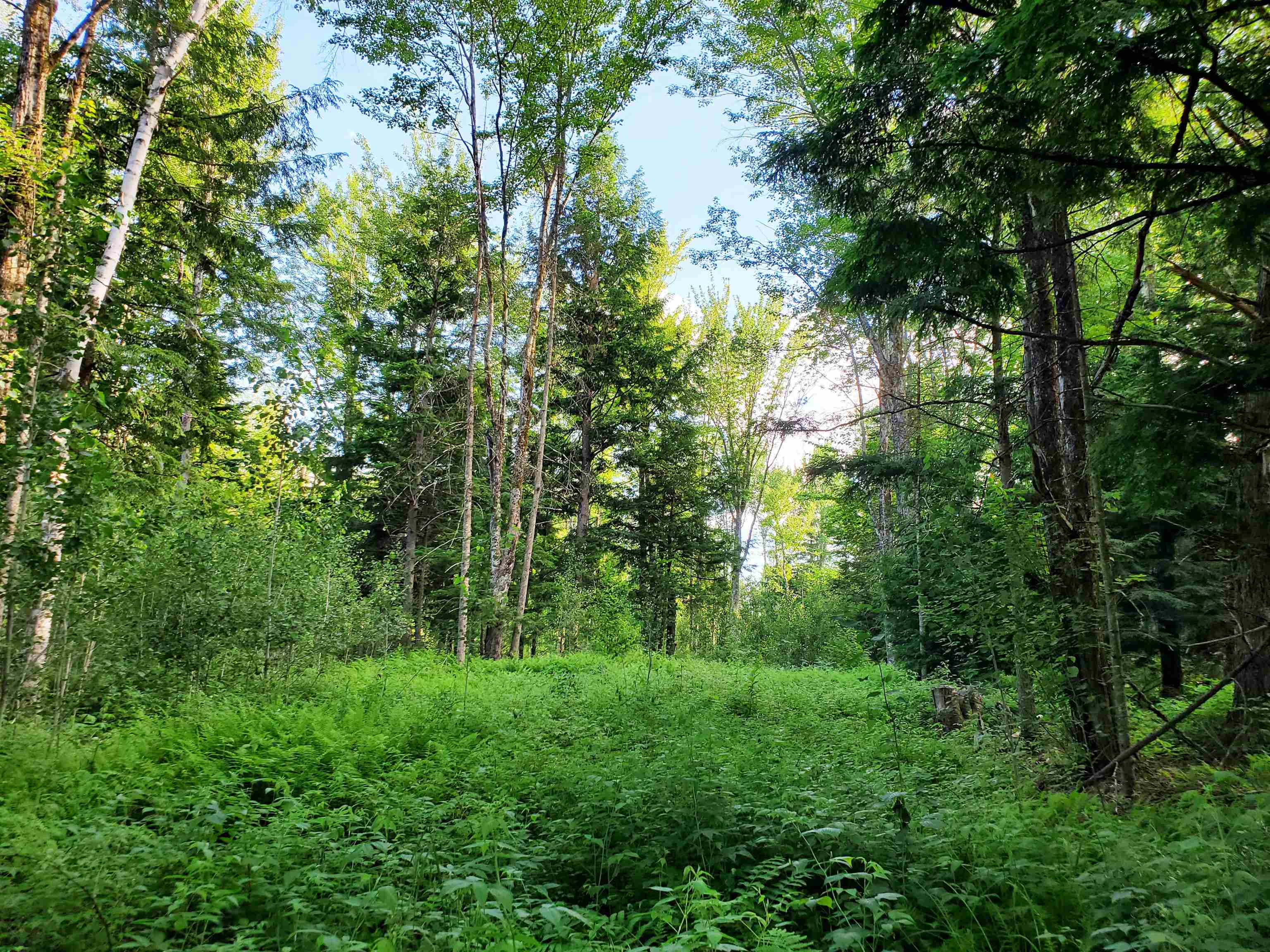 main property photo 48