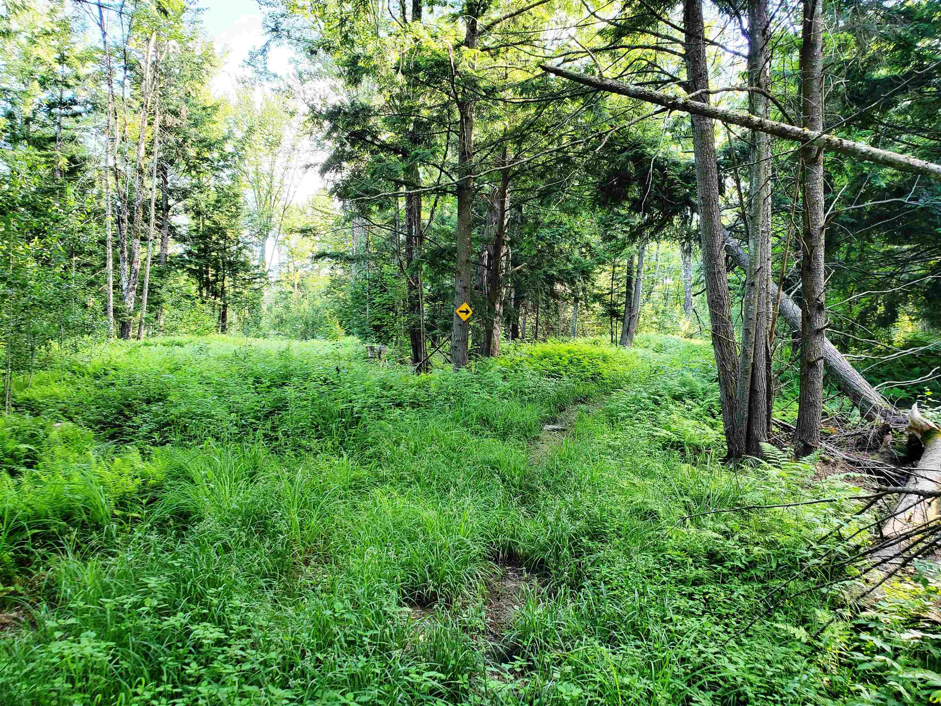 main property photo 49
