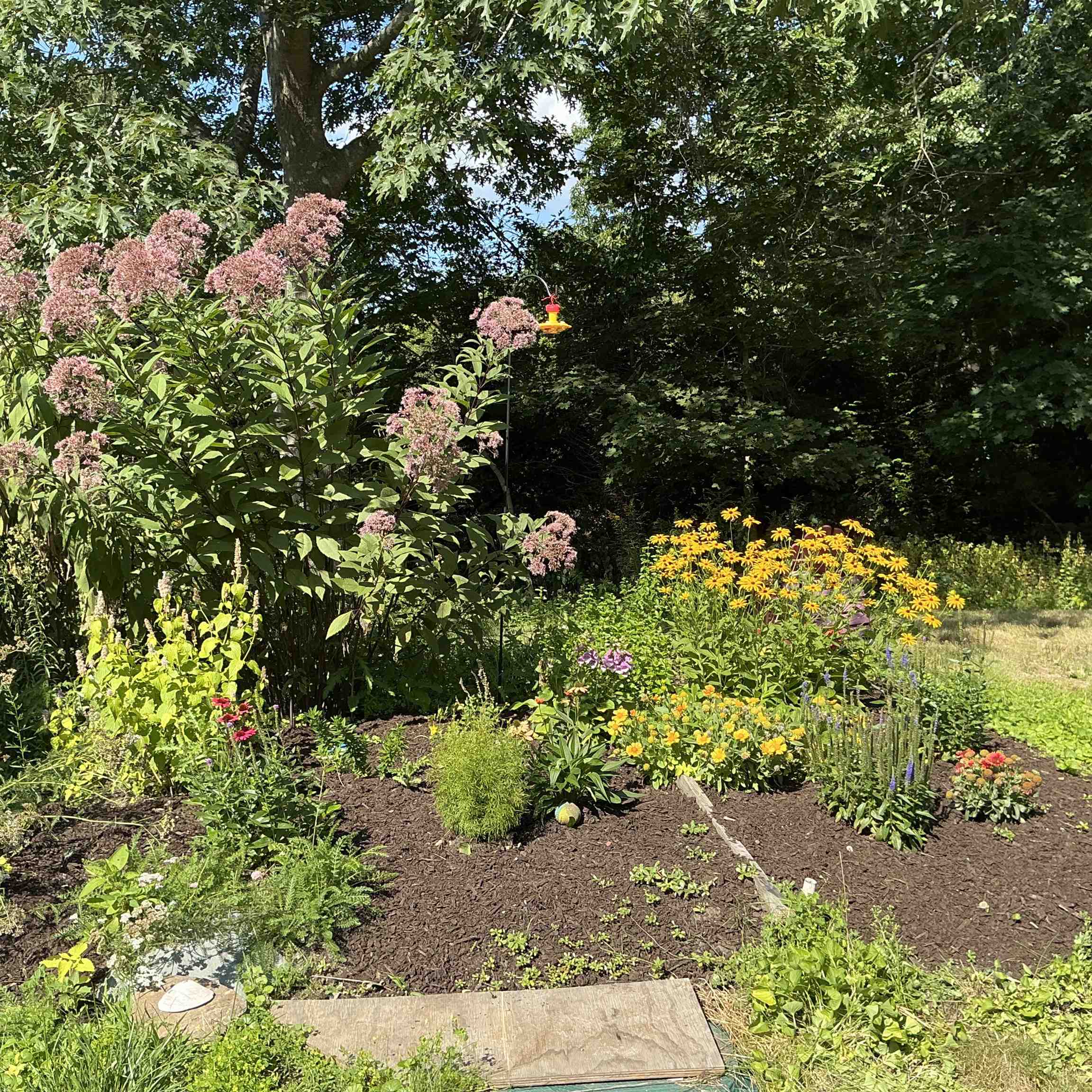 property viewer photo 13