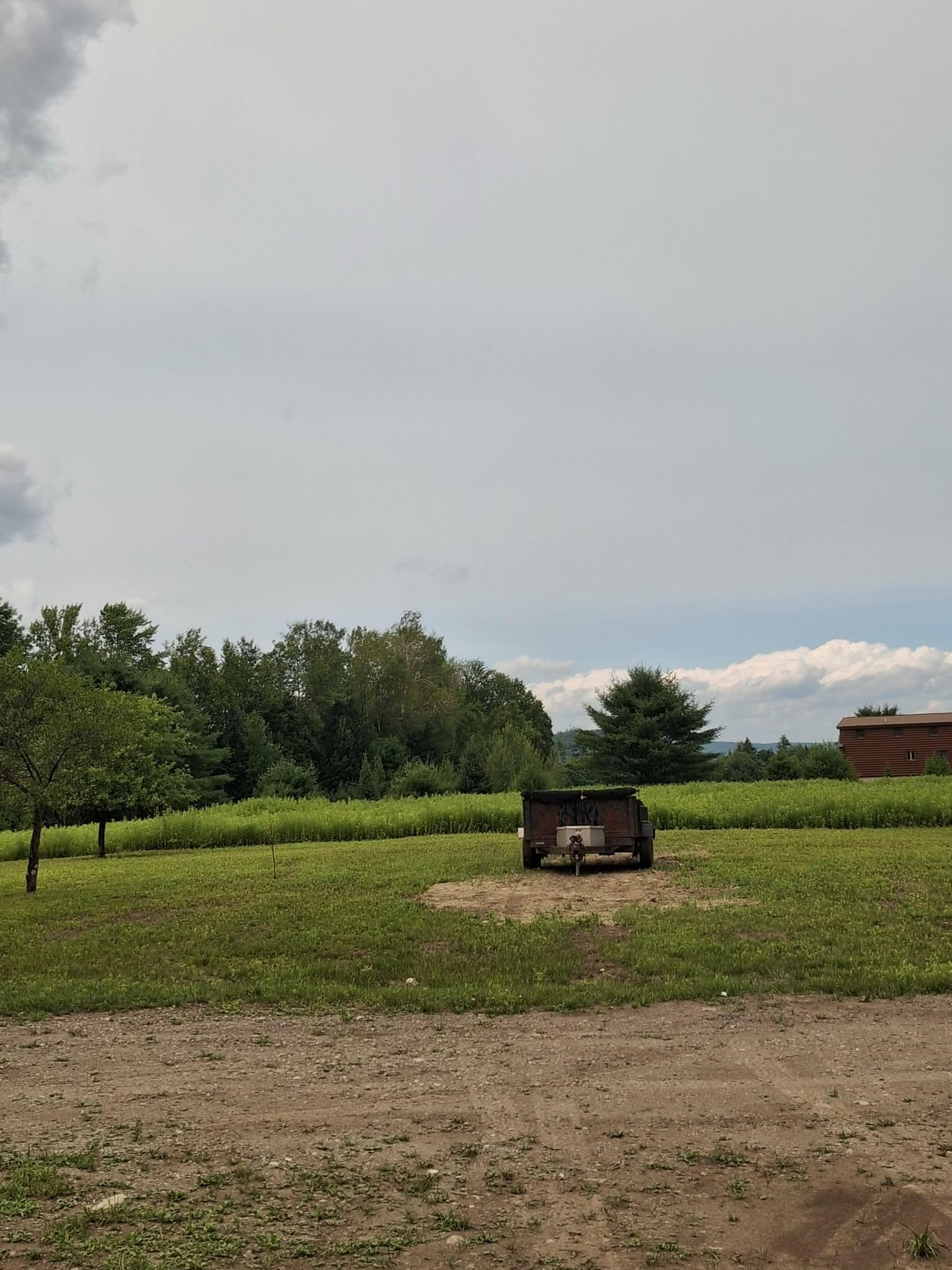 main property photo 31
