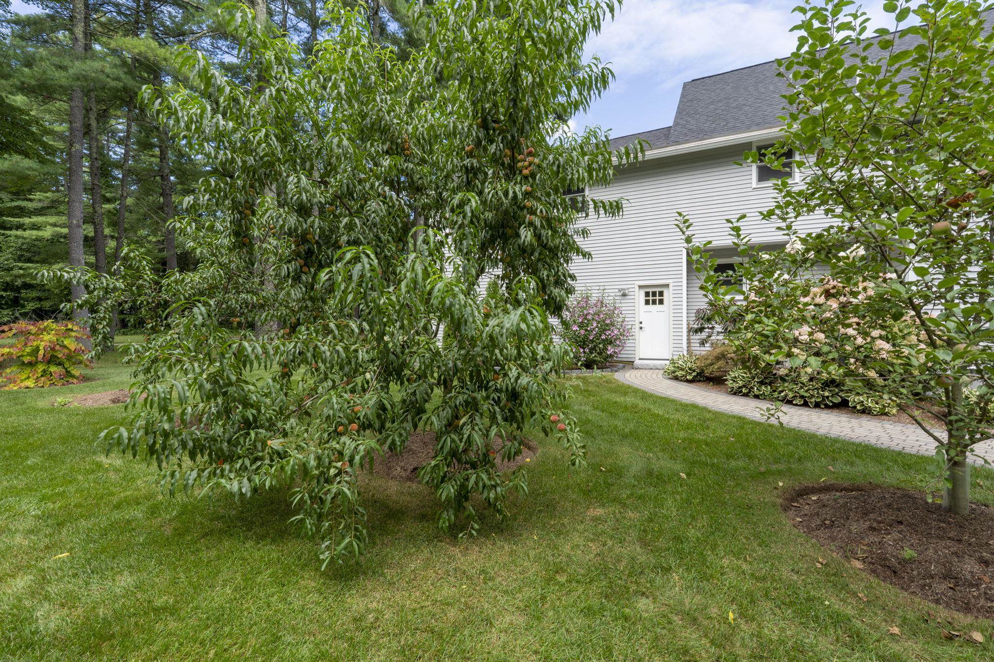 main property photo 59