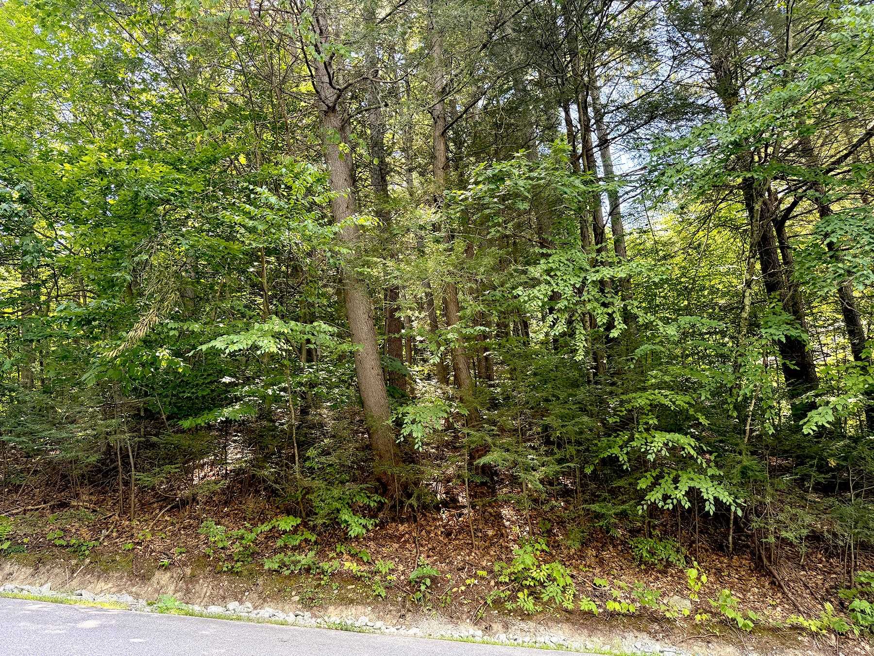 main property photo 13