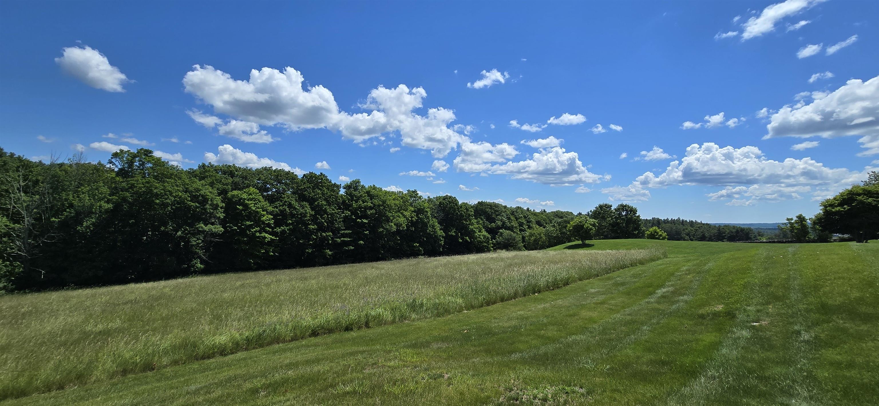 main property photo 56