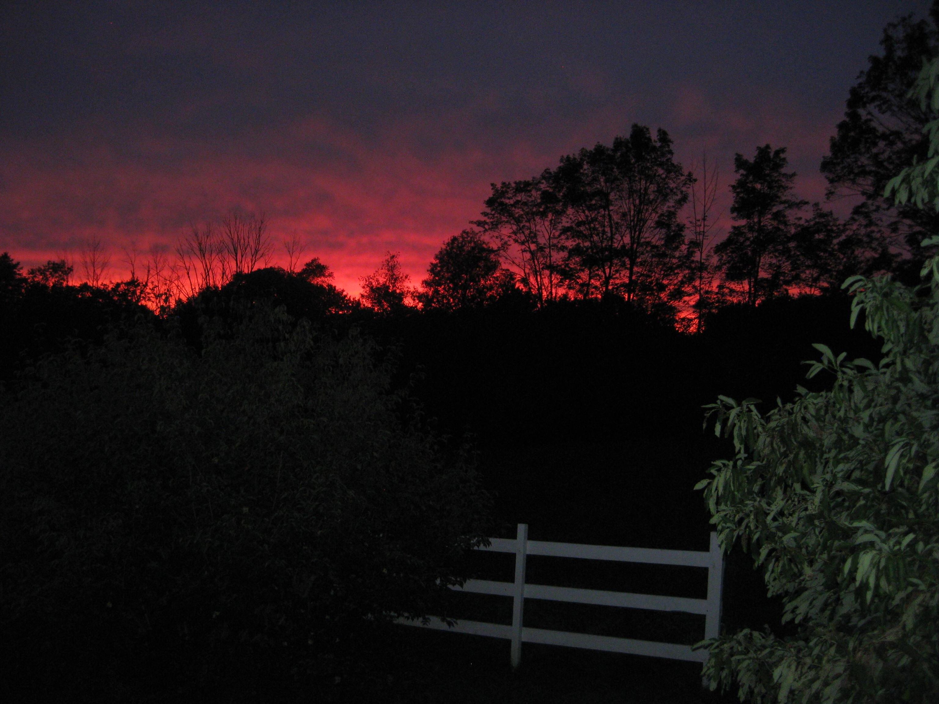 main property photo 55