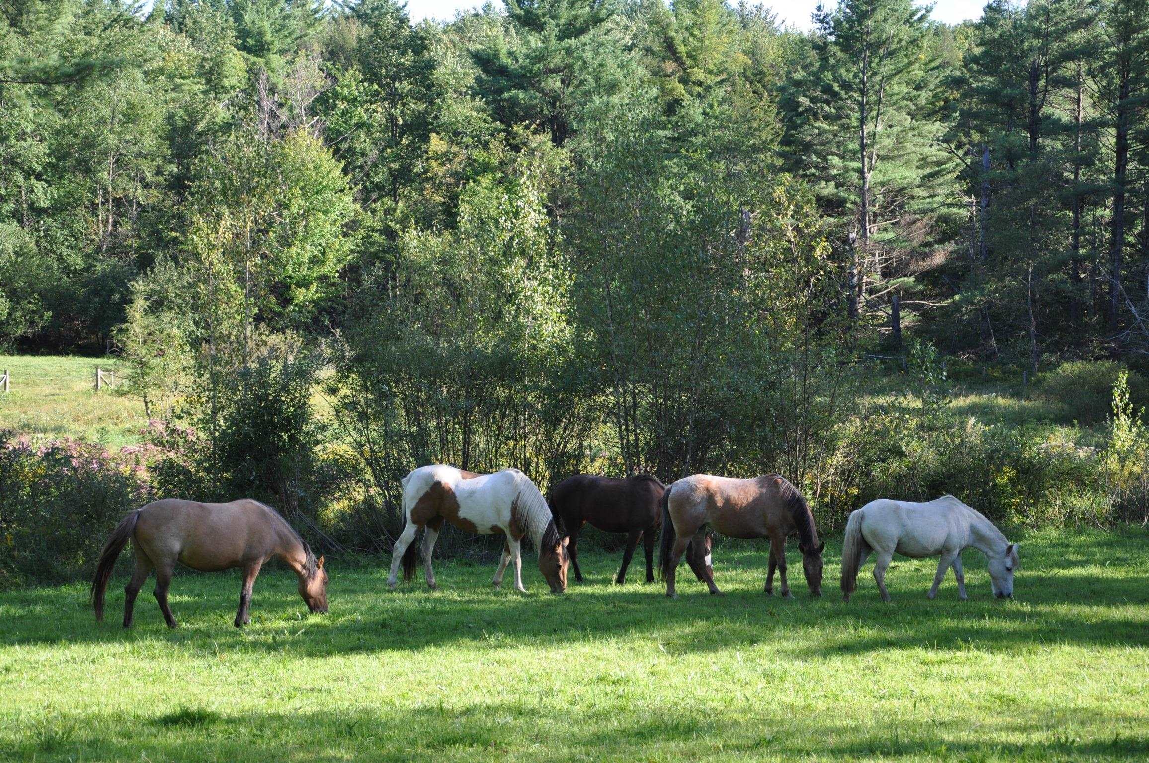 main property photo 55