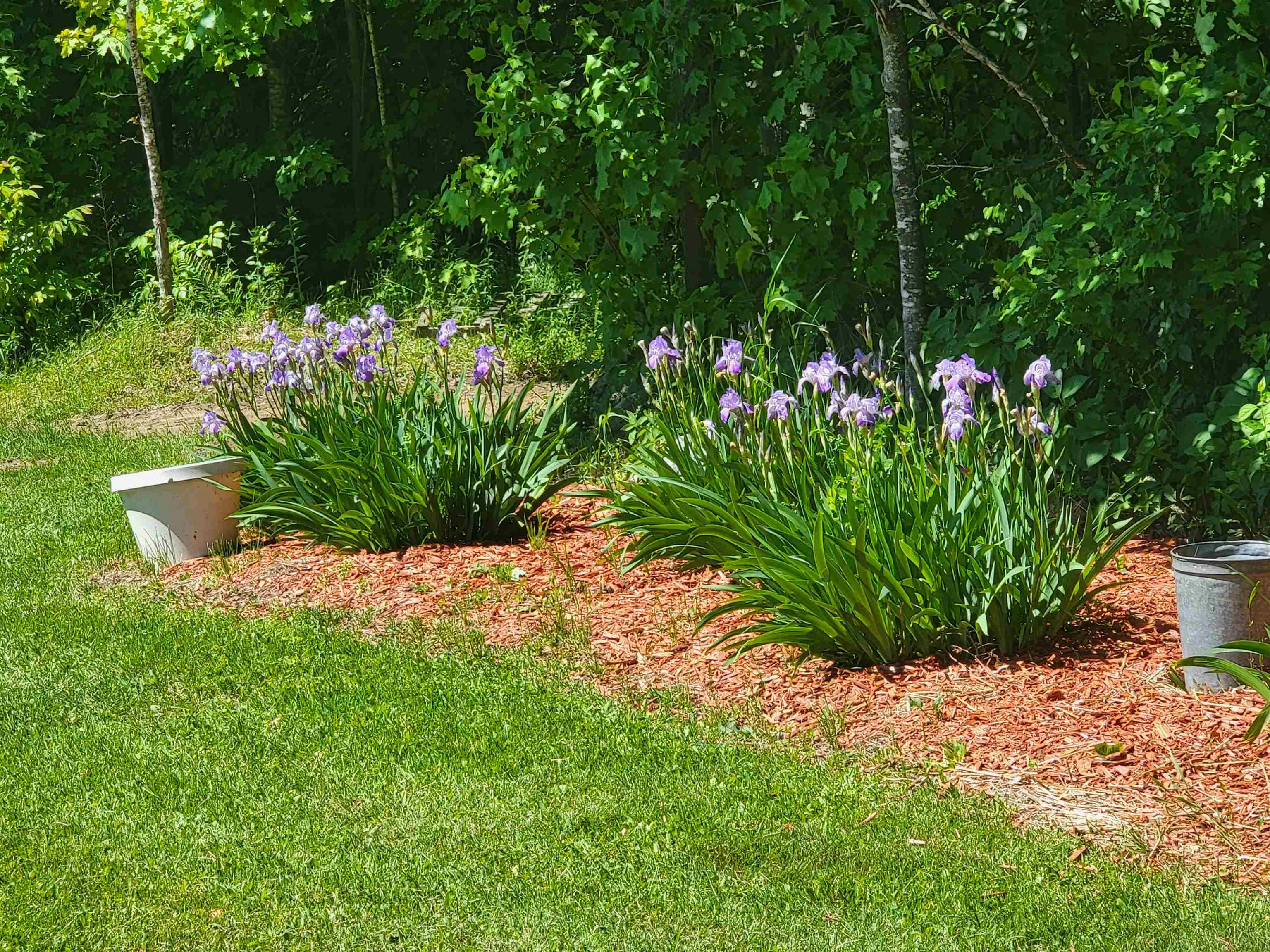 main property photo 38