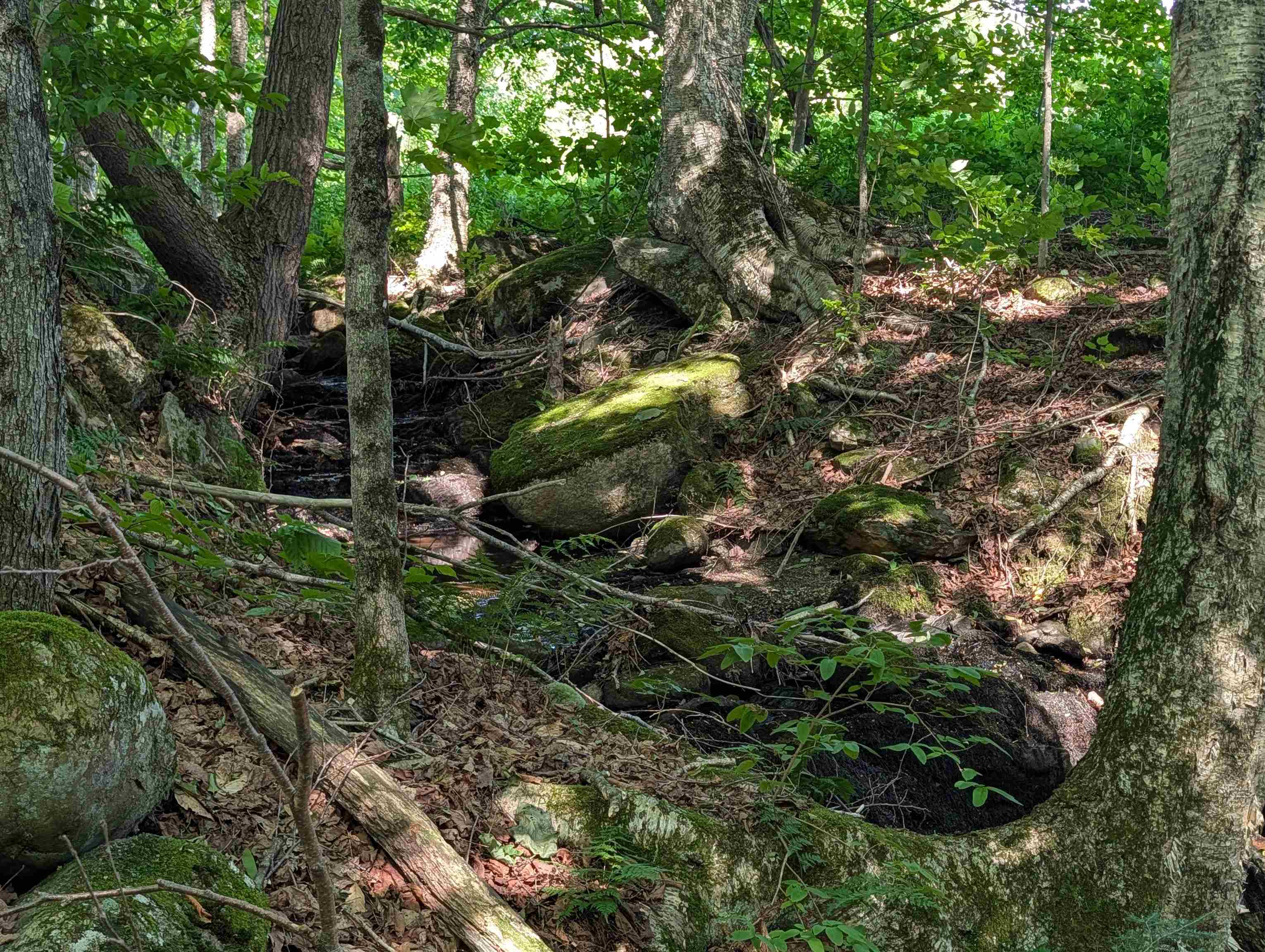 main property photo 16